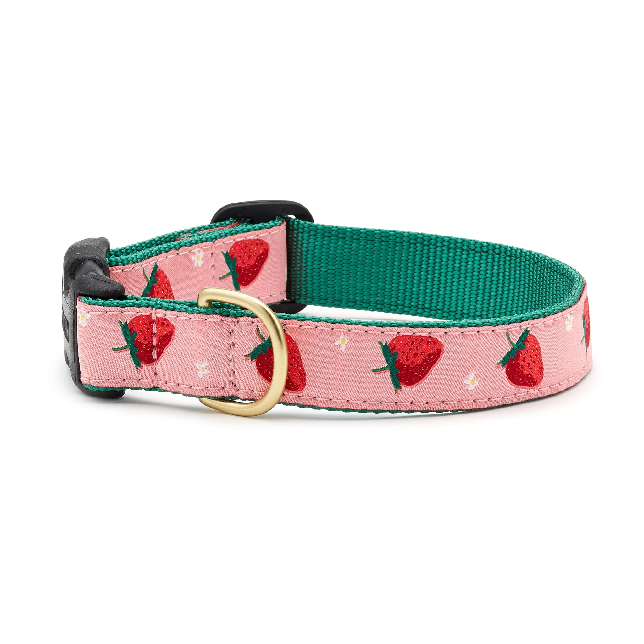 Up Country Strawberry Fields Cast Brass Dog Collar