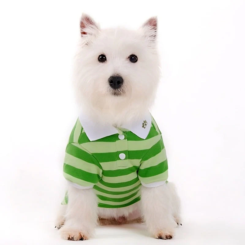 Stripe Polo Shirt - Image 11