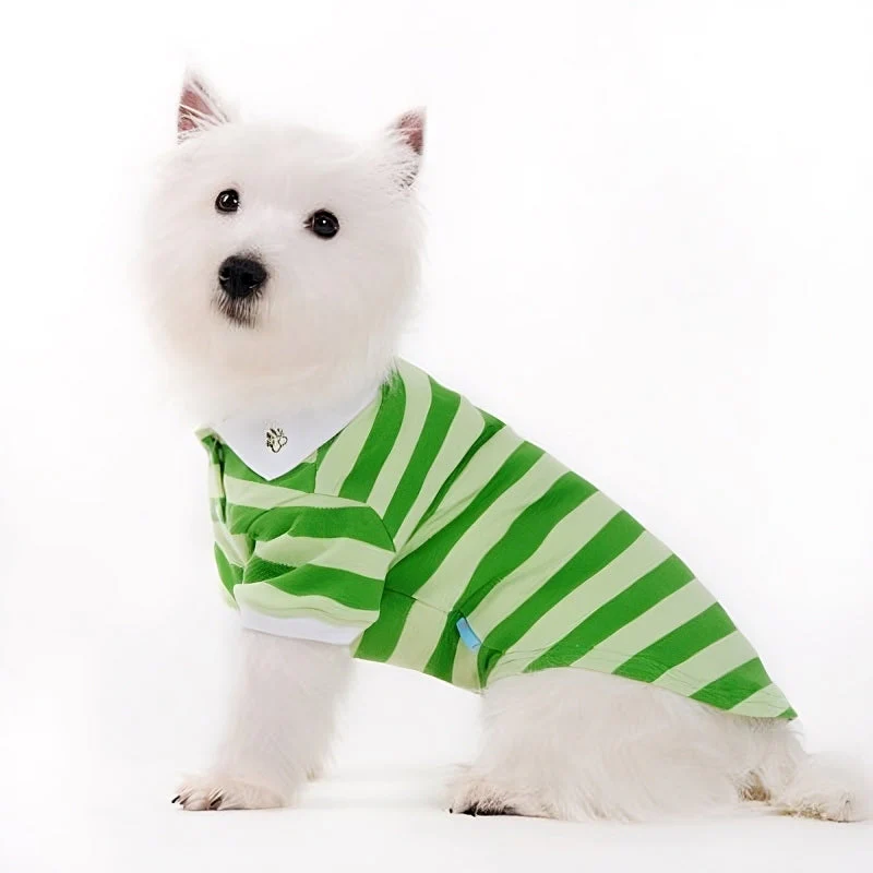 Stripe Polo Shirt - Image 12