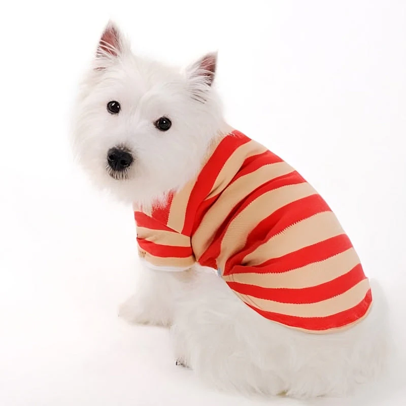 Stripe Polo Shirt - Image 23