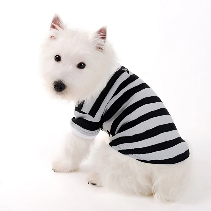 Stripe Polo Shirt - Image 9