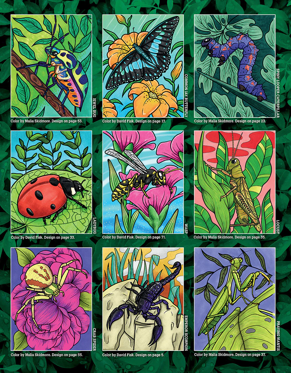 Super Cool Bugs and Spiders Coloring Book - Image 2