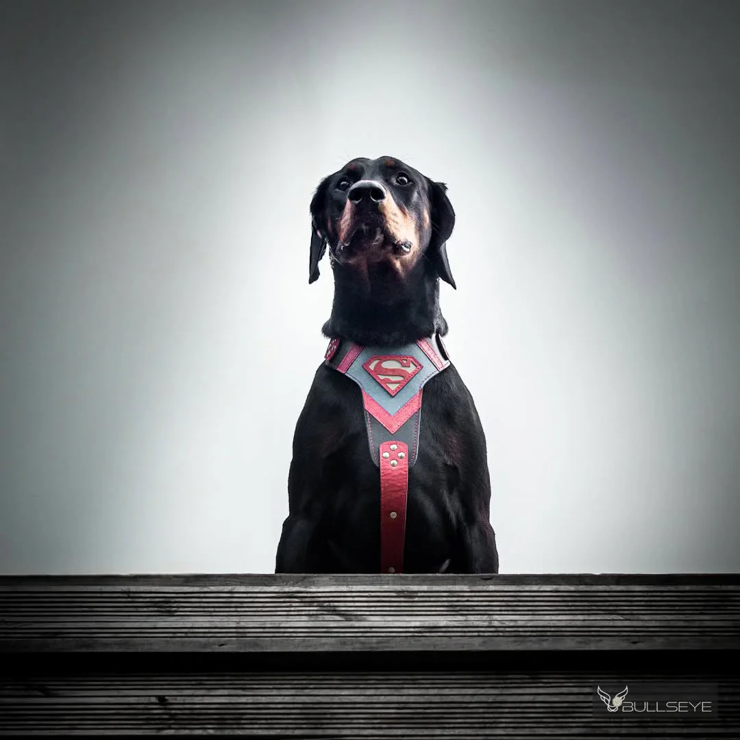 Bestia Dog Gear Genuine Leather Dog Harness - M - Image 4