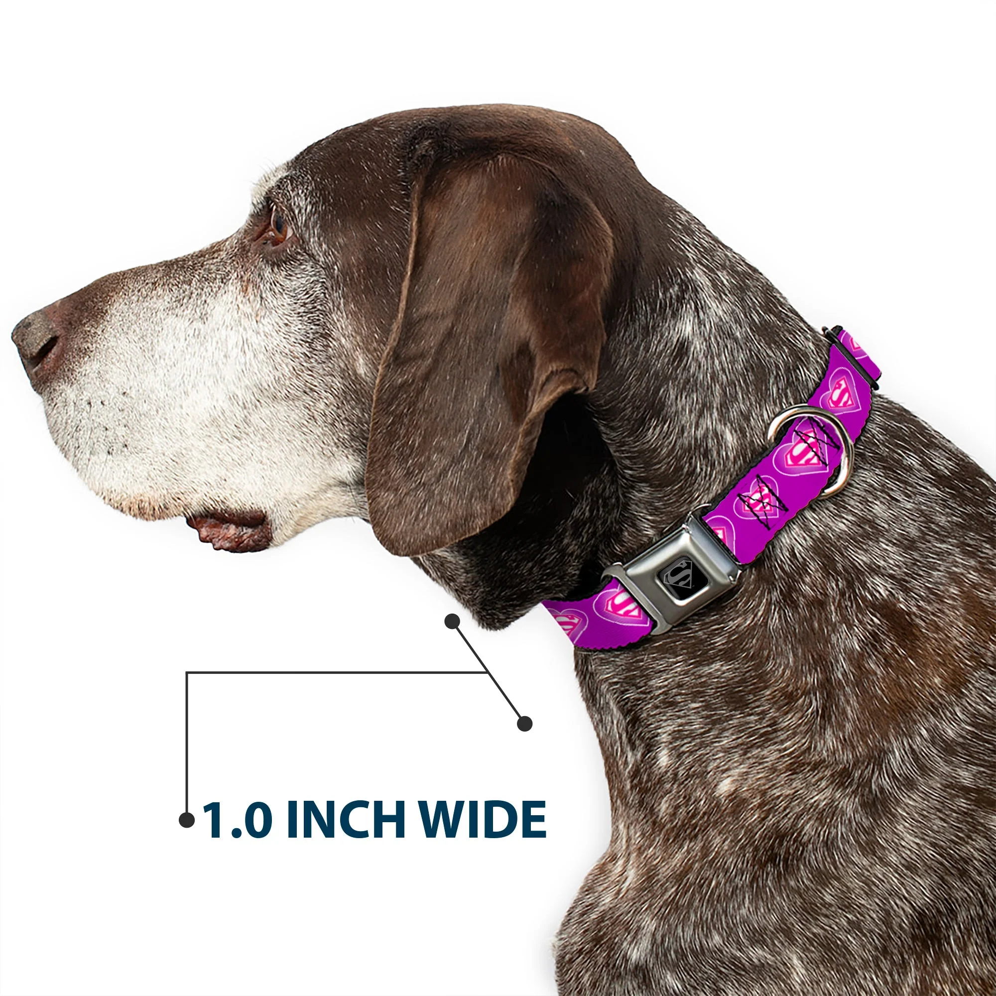 Superman Black Silver Seatbelt Buckle Collar - Superman Logo in Heart Purple/White/Pink - Image 6