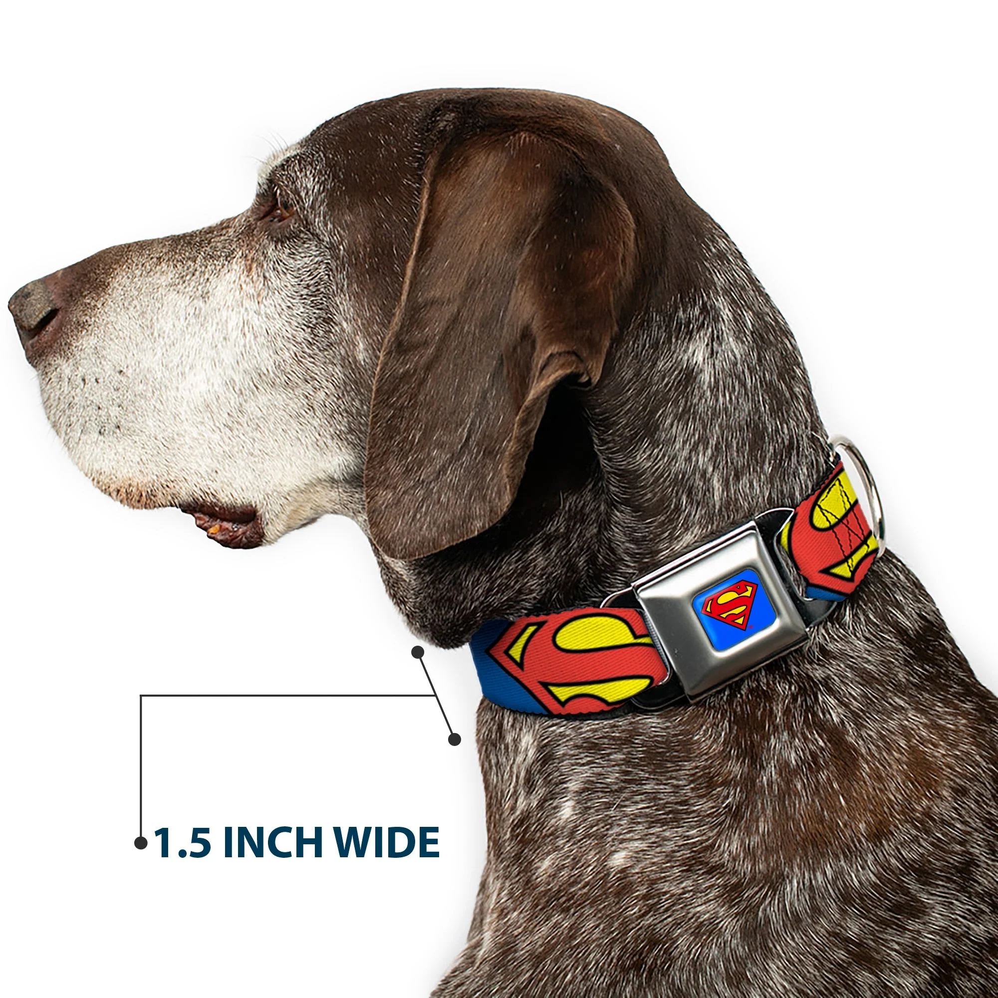 Superman Blue Seatbelt Buckle Collar - Jagged Superman Shield CLOSE-UP Yellow/Blue/Red - Image 7
