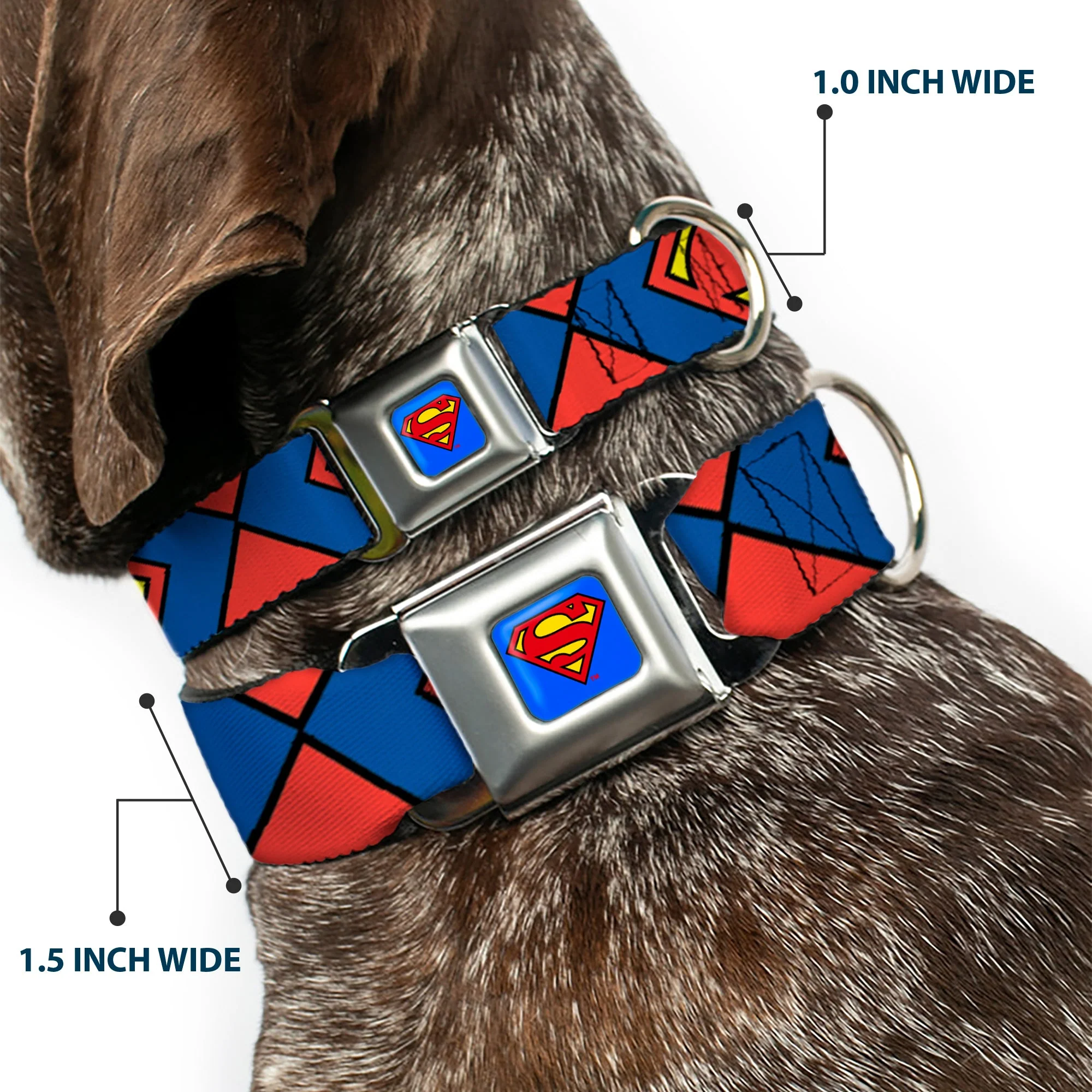Superman Blue Seatbelt Buckle Collar - Superman Shield CLOSE-UP Blue/Red/Yellow - Image 2