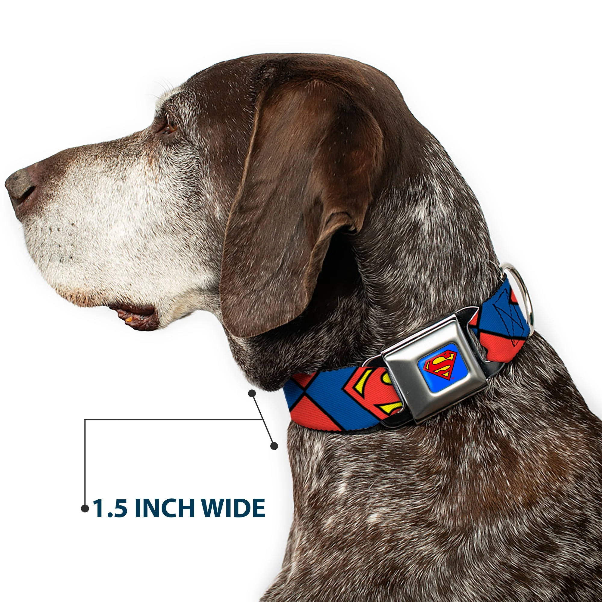 Superman Blue Seatbelt Buckle Collar - Superman Shield CLOSE-UP Blue/Red/Yellow - Image 7