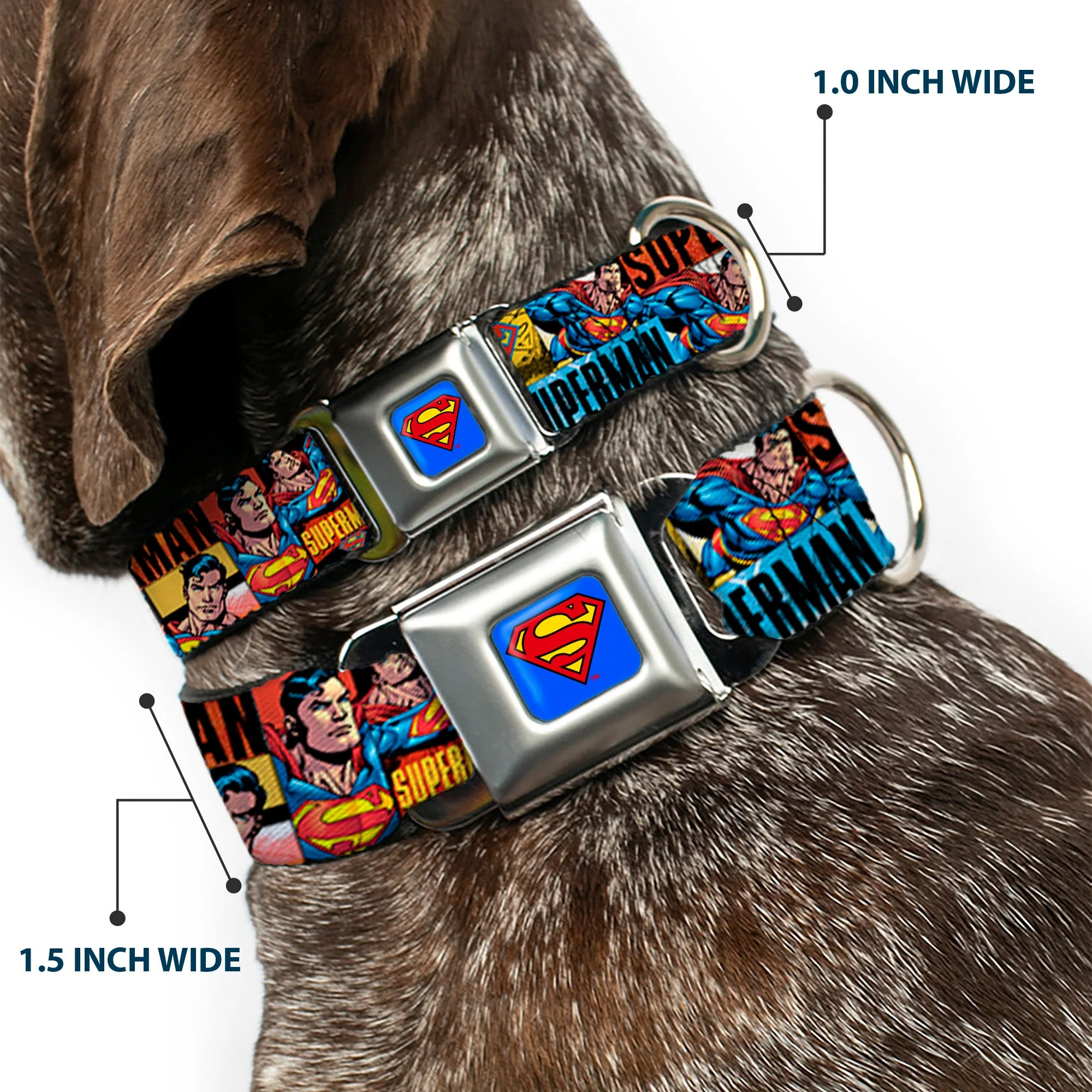 Superman Full Color Blue Seatbelt Buckle Collar - SUPERMAN Action Blocks Red/Blue - Image 2