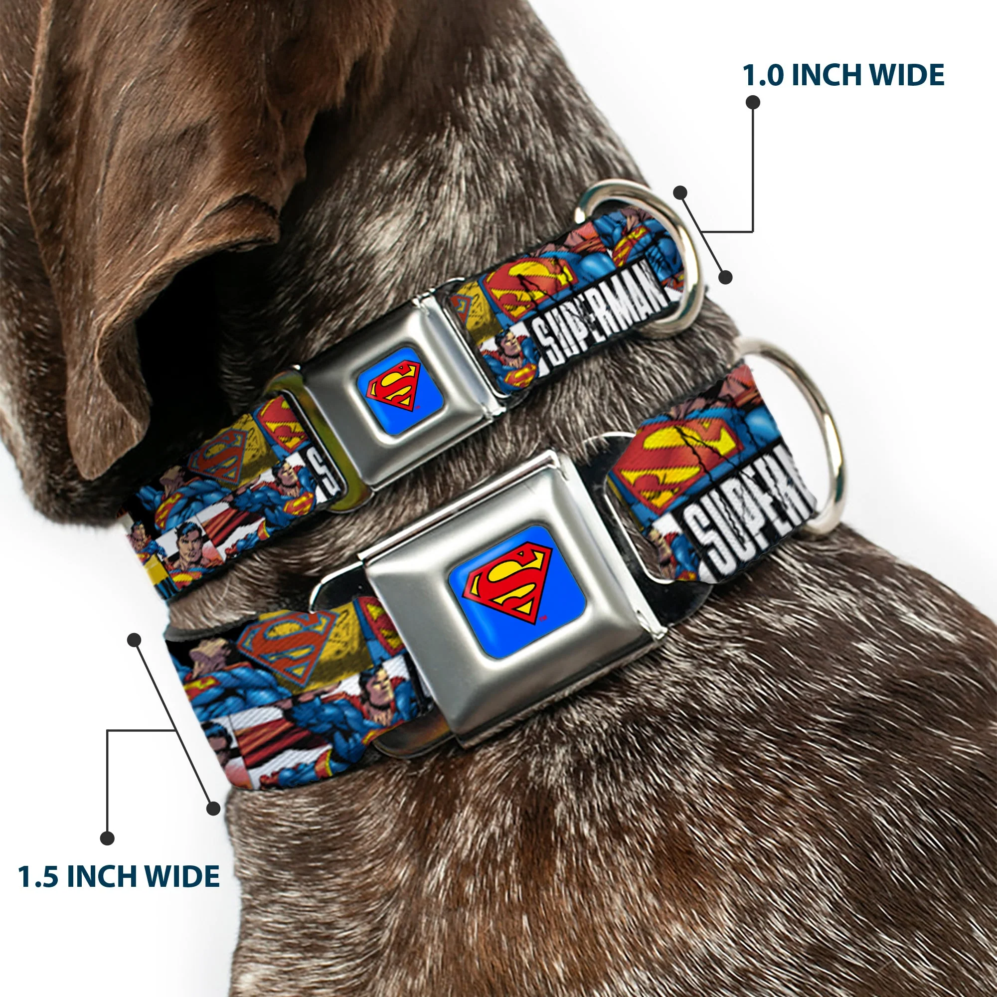 Superman Full Color Blue Seatbelt Buckle Collar - SUPERMAN Action Blocks White - Image 2