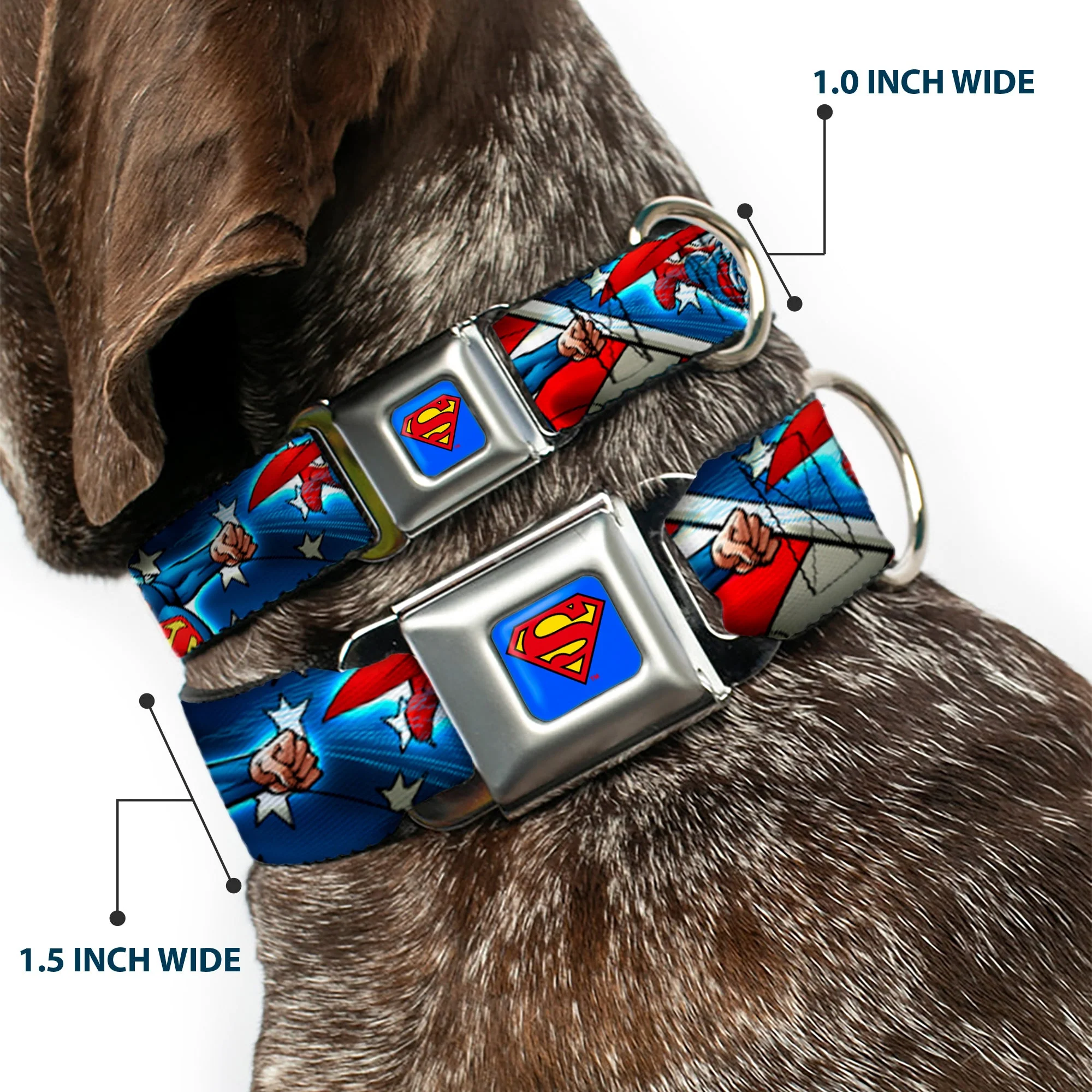 Superman Full Color Blue Seatbelt Buckle Collar - Superman Action Poses/Stars & Stripes - Image 2