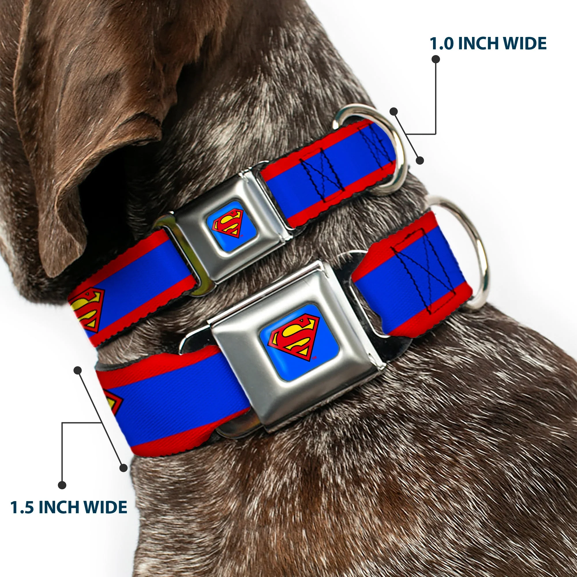 Superman Full Color Blue Seatbelt Buckle Collar - Superman Shield/Stripe Red/Blue - Image 2