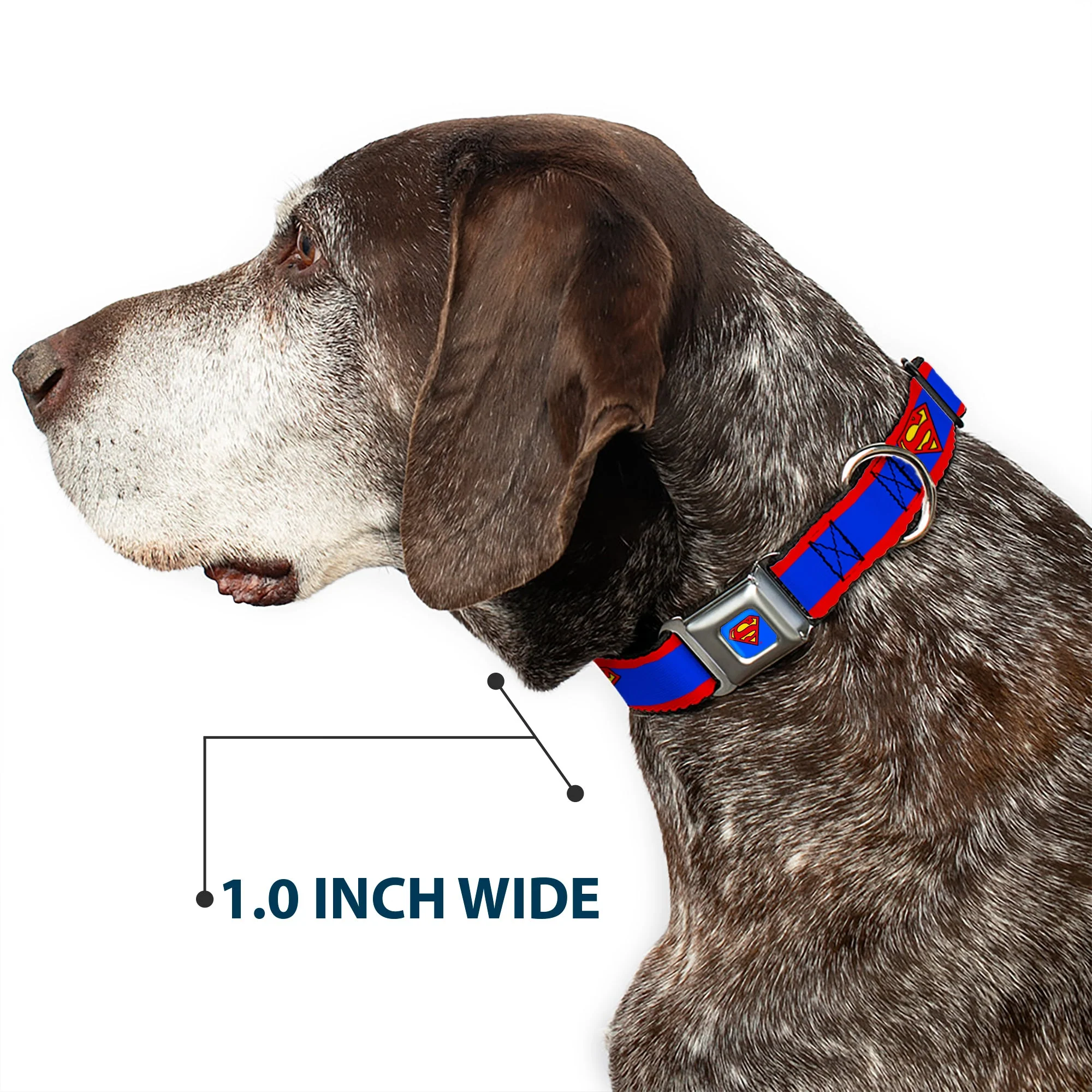 Superman Full Color Blue Seatbelt Buckle Collar - Superman Shield/Stripe Red/Blue - Image 6
