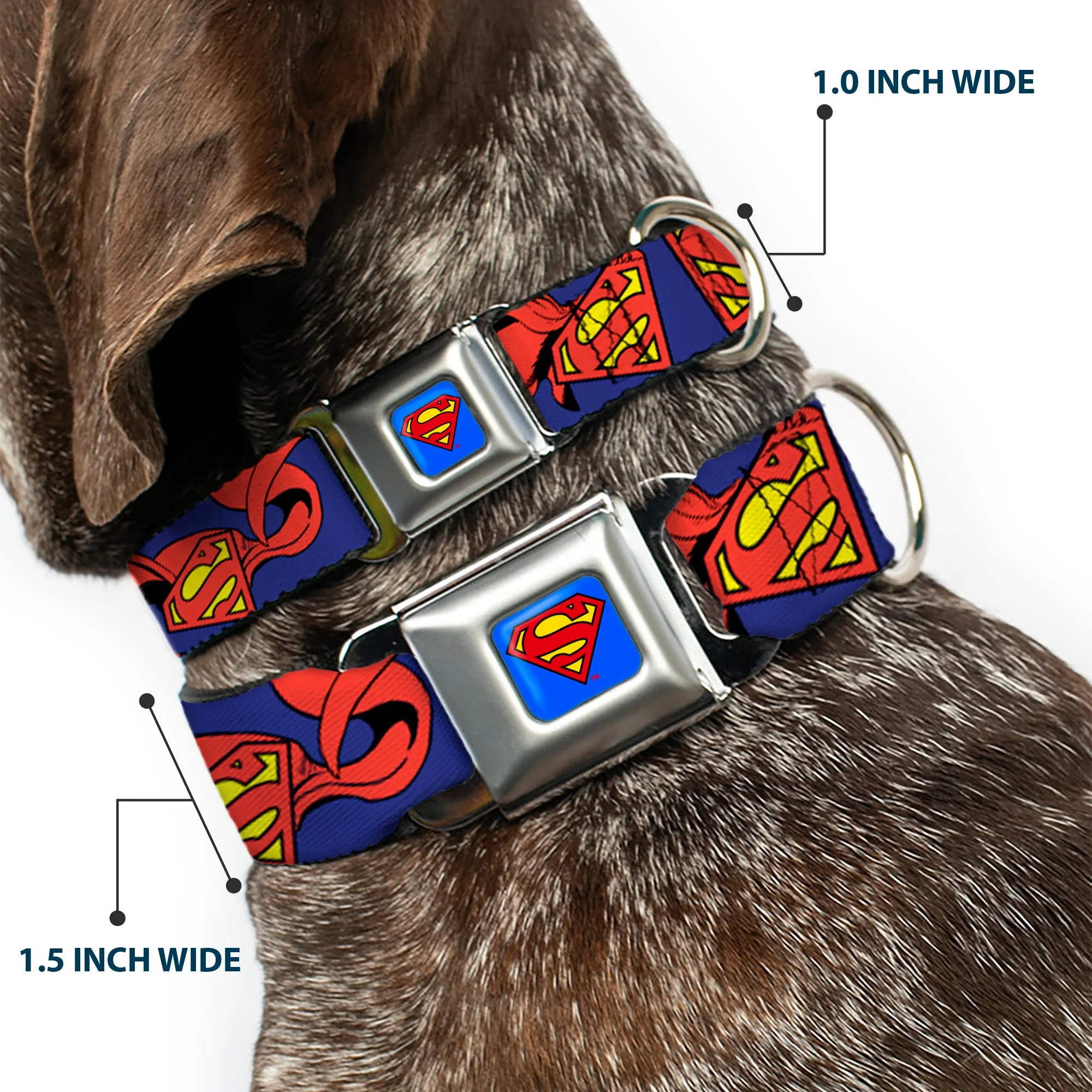 Superman Full Color Blue Seatbelt Buckle Collar - Superman Shield w/Cape - Image 2
