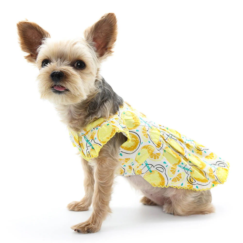Sweet Lemonade Dress - Image 5