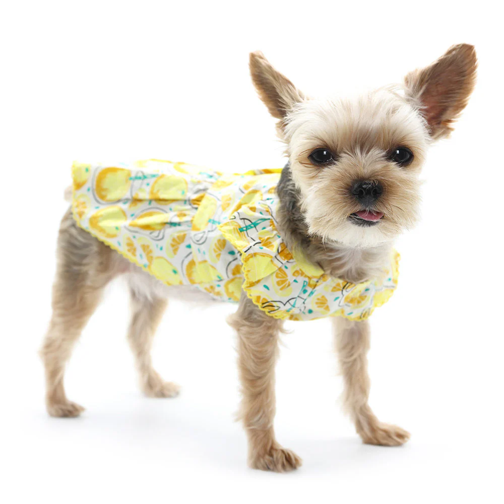 Sweet Lemonade Dress - Image 6