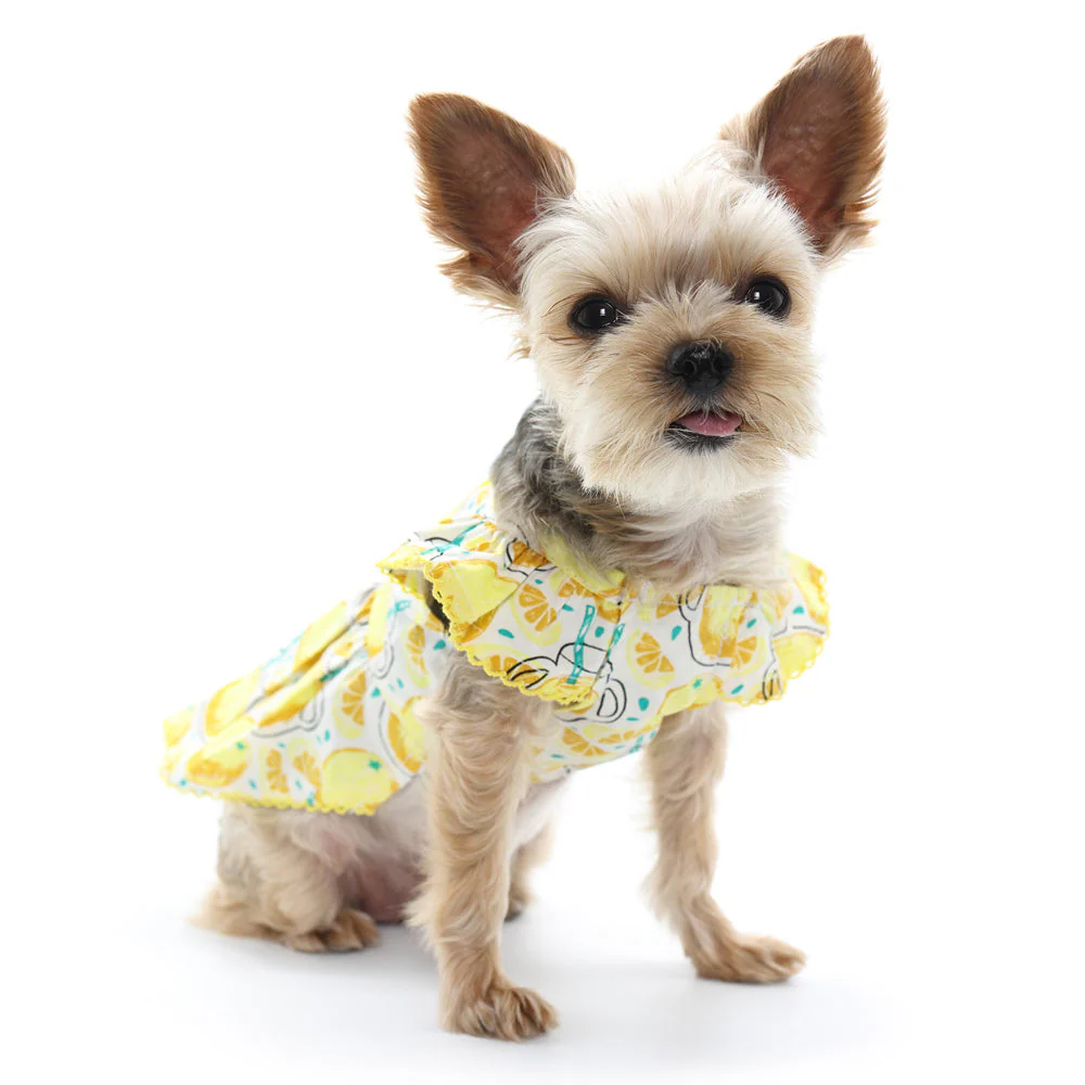 Sweet Lemonade Dress - Image 7