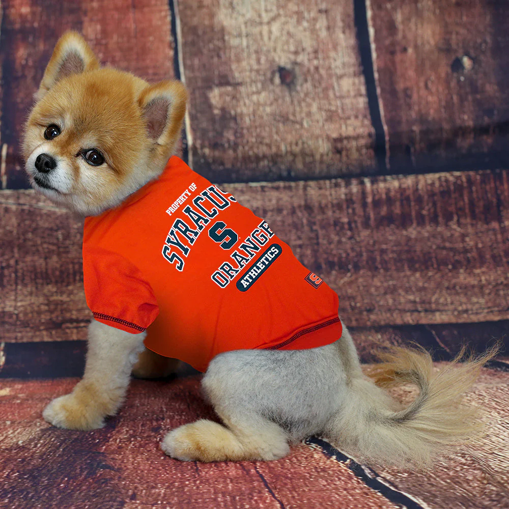 Syracuse Orange Dog Tee Shirt - Image 3