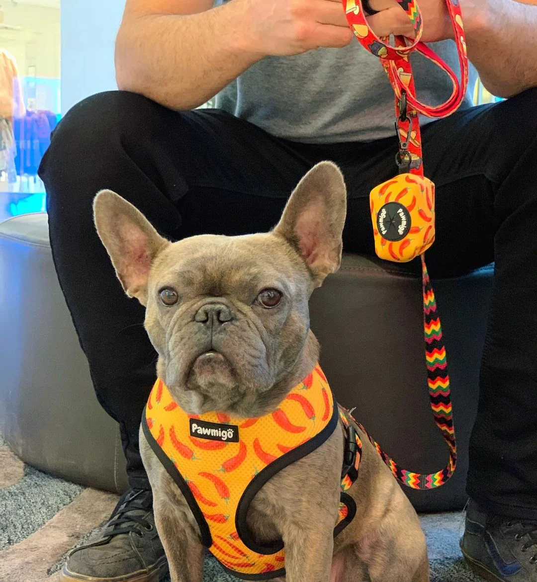 Taco Tuesday Reversible Harness - Image 3