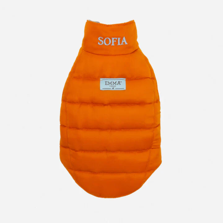 Tailored Pet Down Jacket in Paisely Cashmere Reversible - Image 8