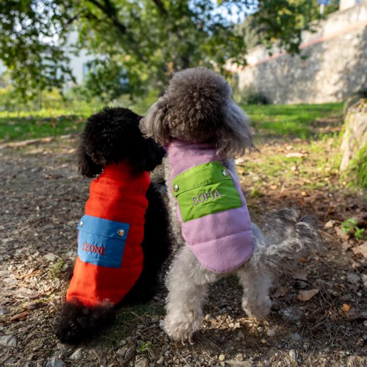 Tailored Pet Down Jacket in Red Cashmere Reversible - Image 5
