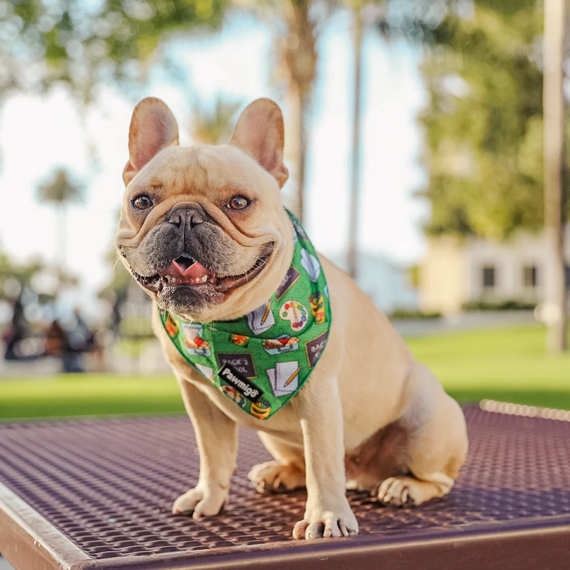 Teachers Pet Cooling Bandana - Image 2