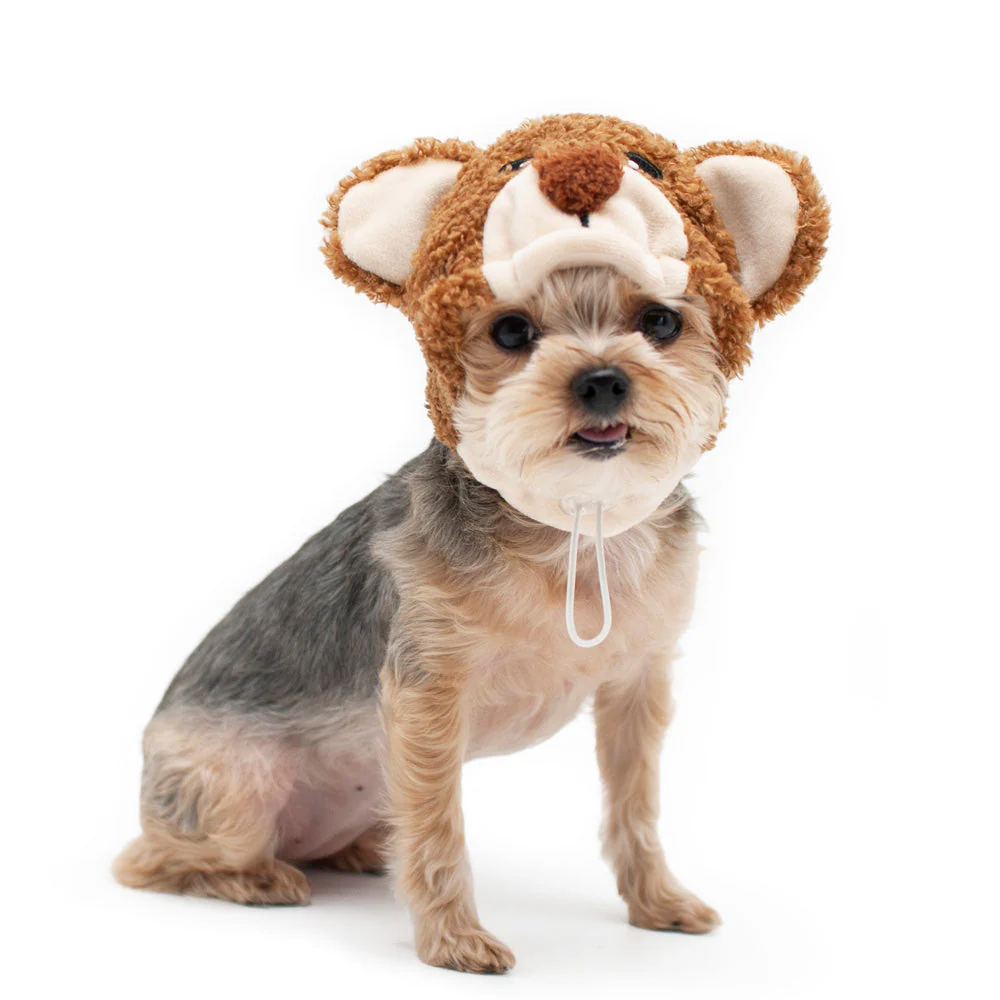 Teddy Bear Hat - Image 3