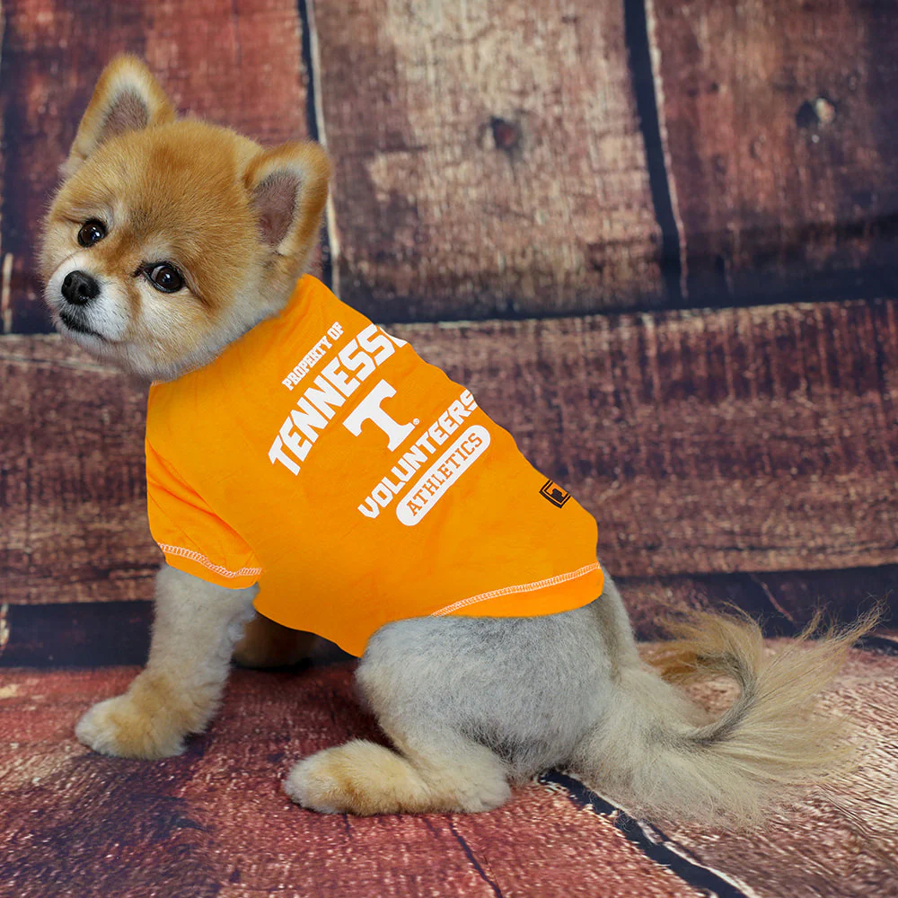 Tennessee Volunteers Dog Tee Shirt - Image 3