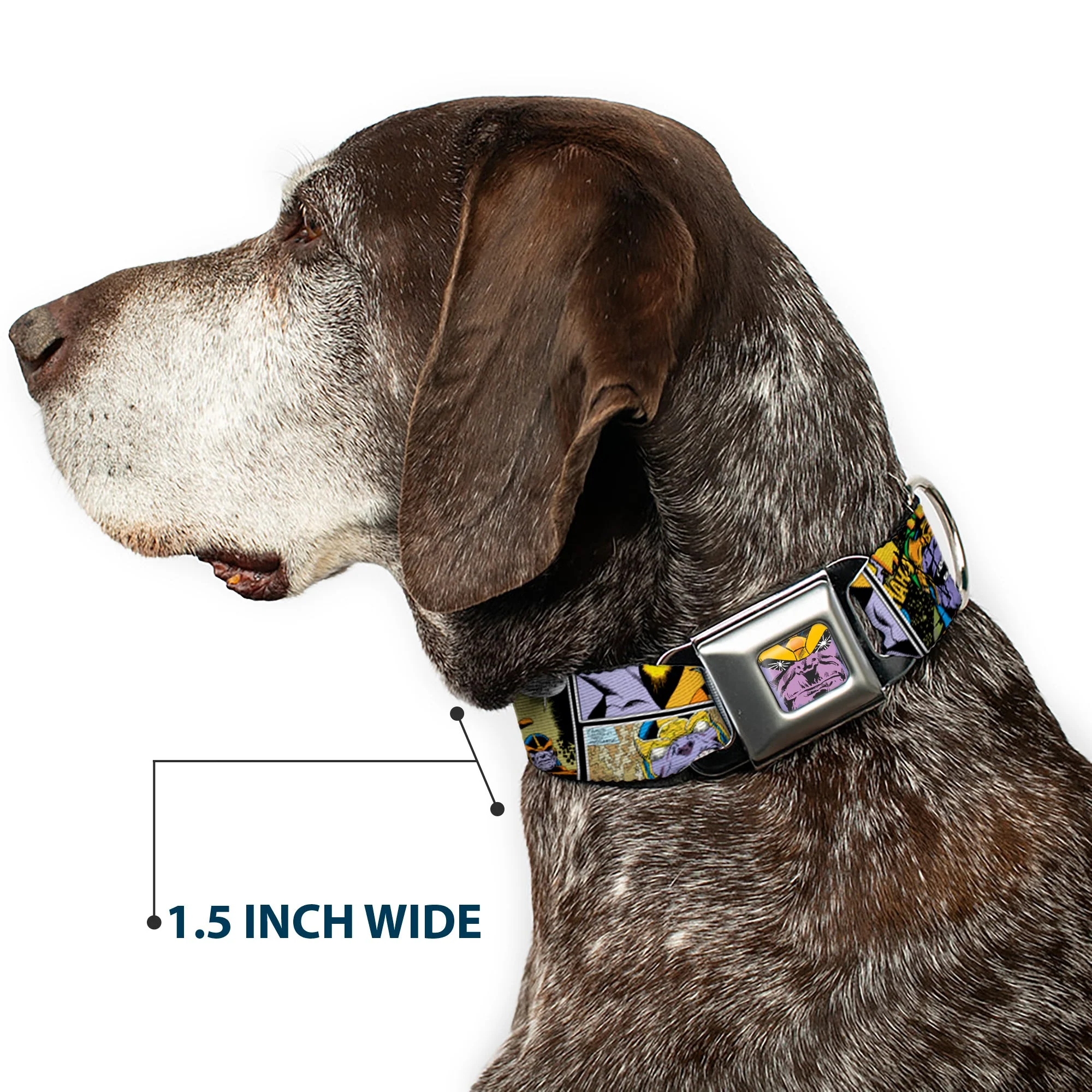 Thanos Face CLOSE-UP Full Color Seatbelt Buckle Collar - Thanos Comic Scene Blocks - Image 7
