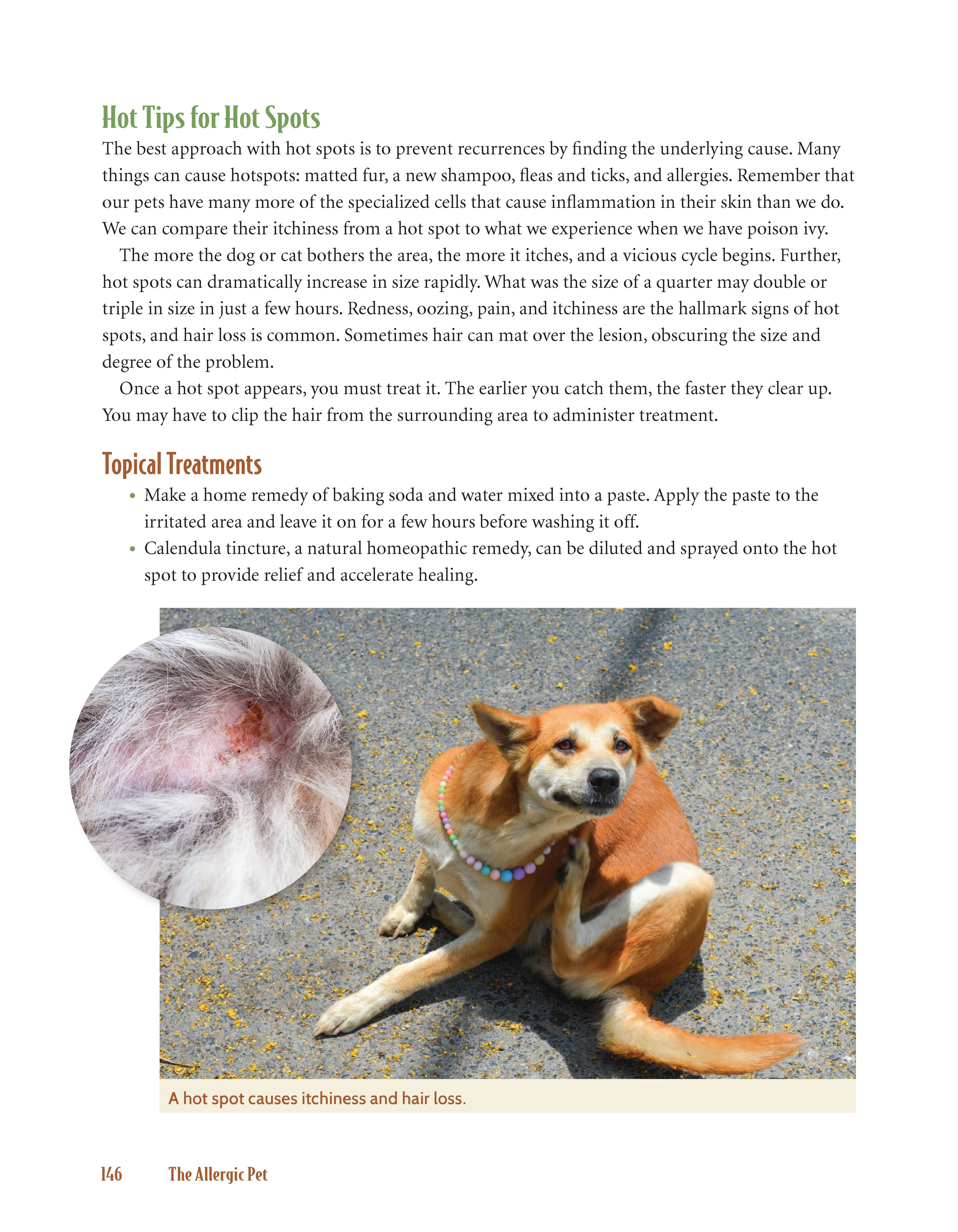 The Allergic Pet - Image 3