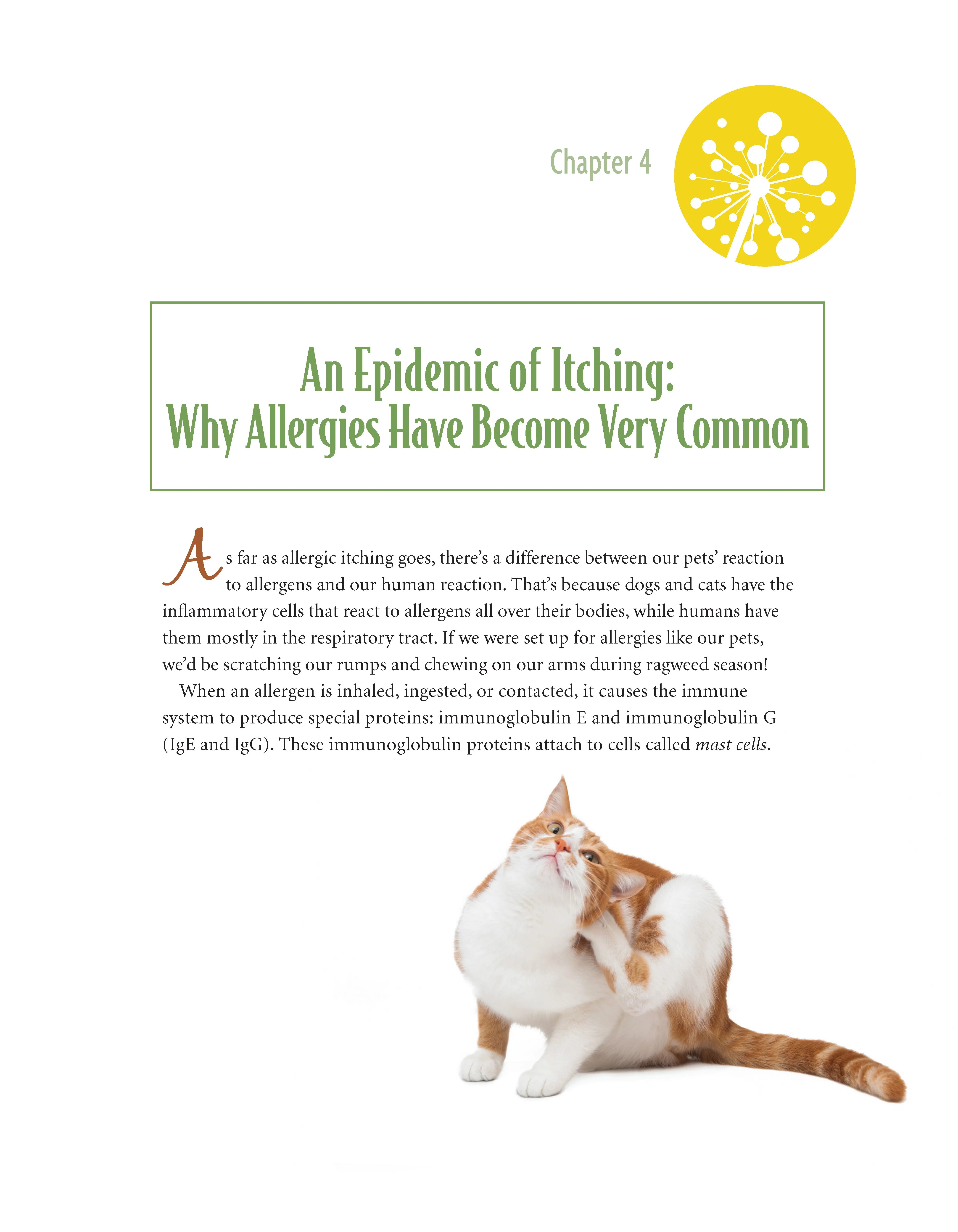 The Allergic Pet - Image 7