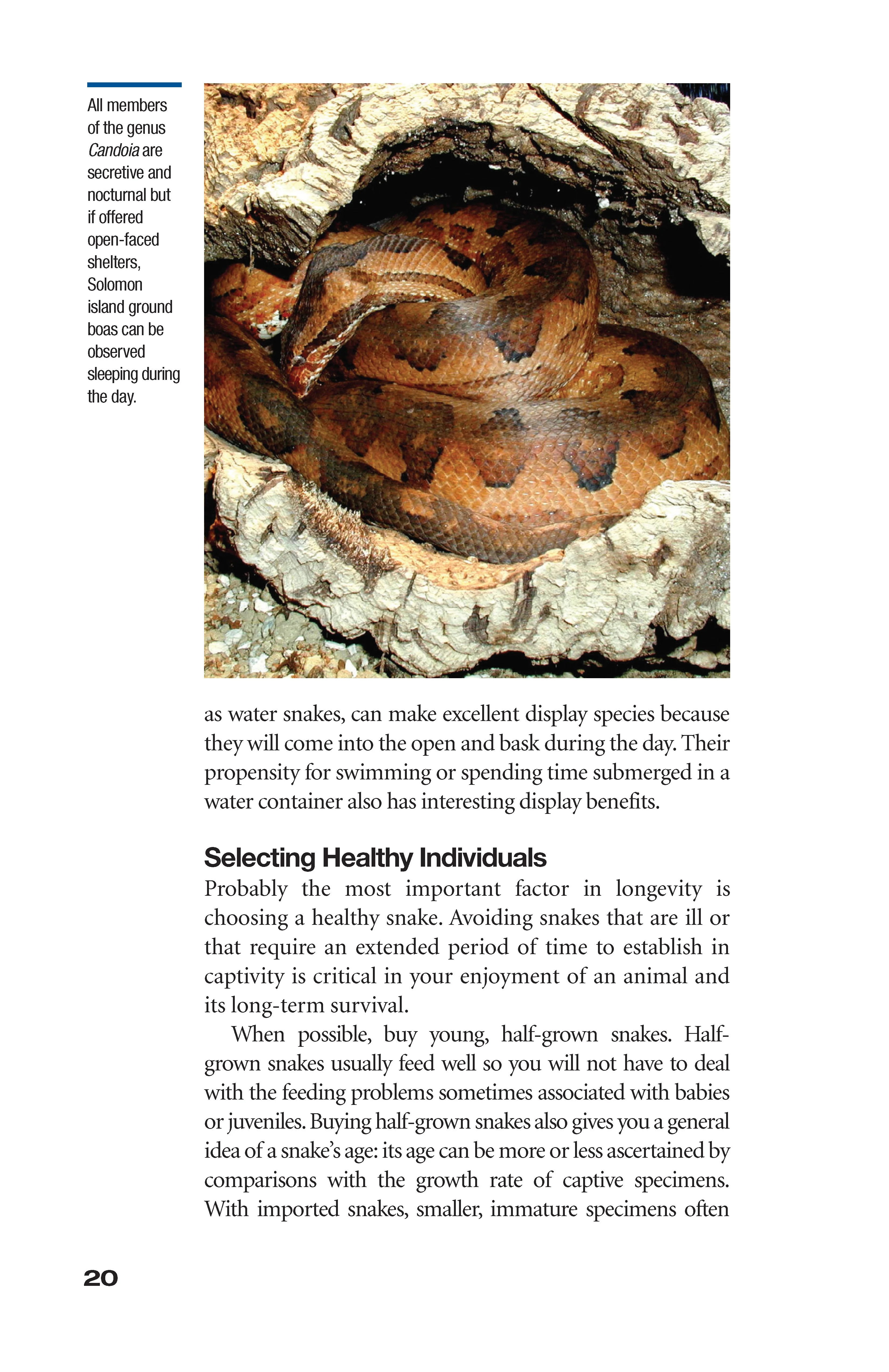 The Art of Keeping Snakes - Image 11