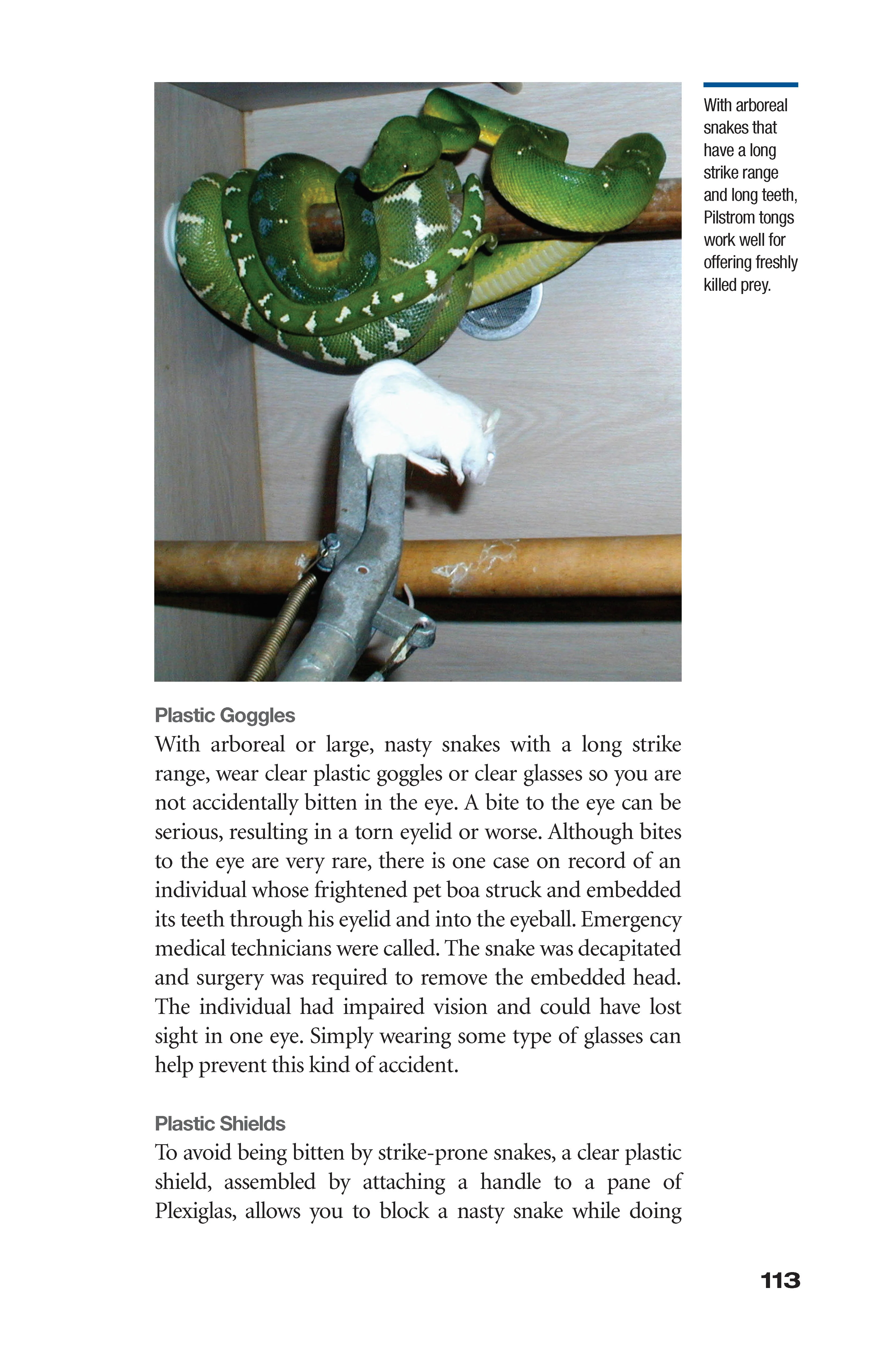 The Art of Keeping Snakes - Image 6