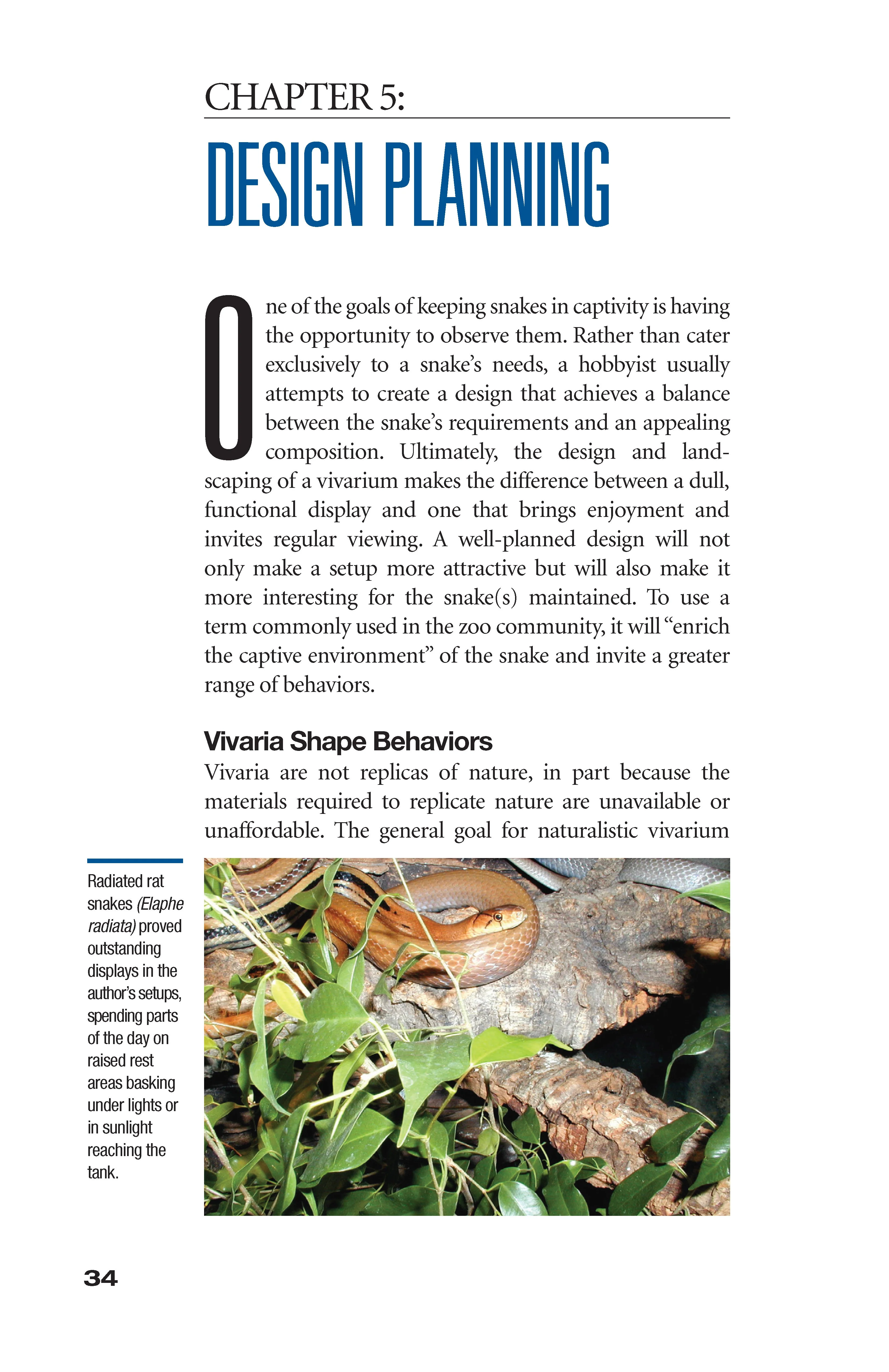The Art of Keeping Snakes - Image 7