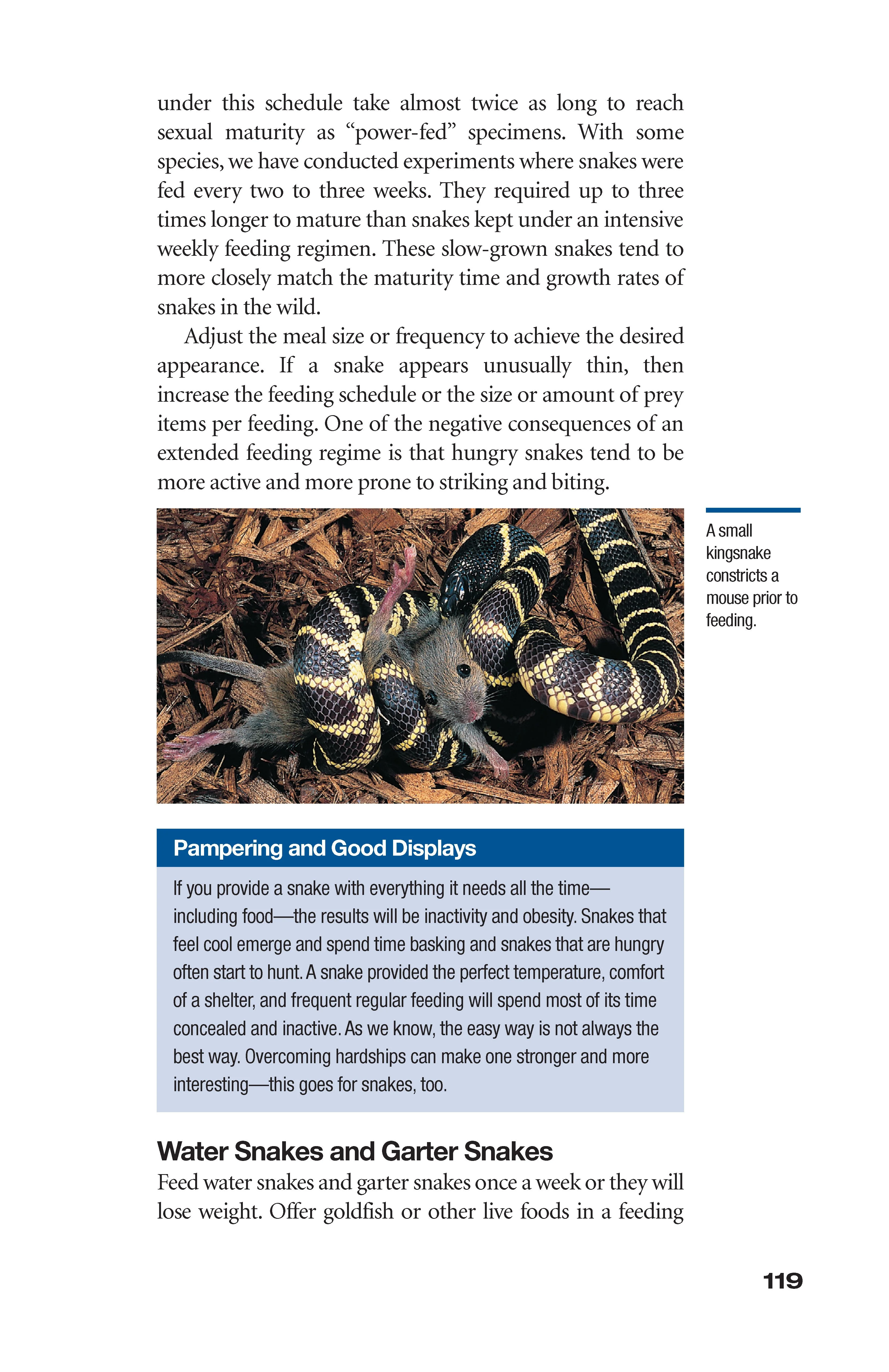 The Art of Keeping Snakes - Image 8