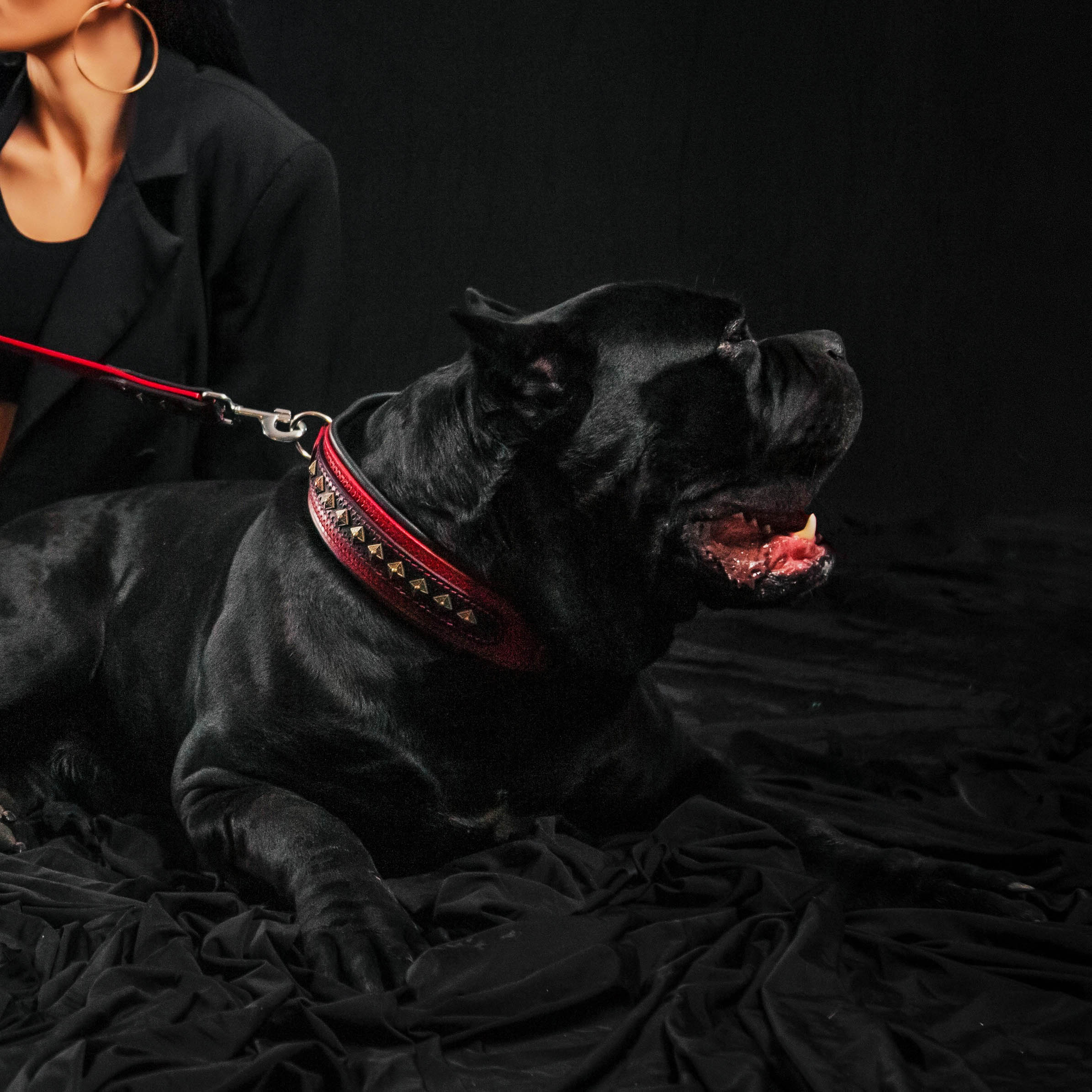 Bestia Dog Gear Genuine Leather Dog Collar - Red - Image 2