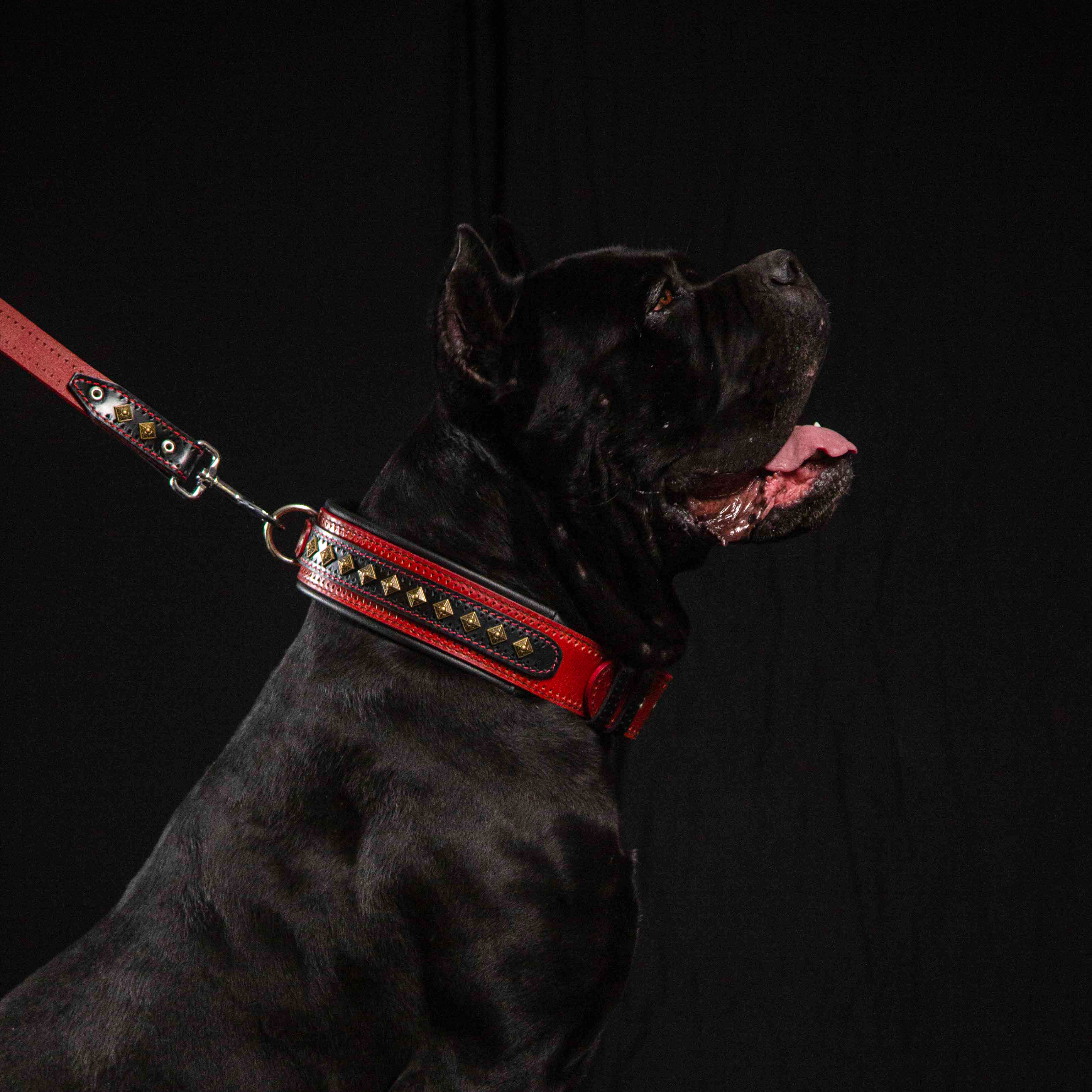 Bestia Dog Gear Genuine Leather Dog Collar - Red - Image 3