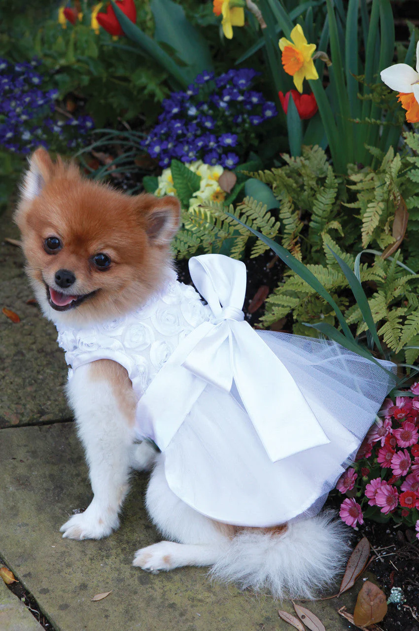 The Bianca Rose Ribbon Dog Dress - Image 2