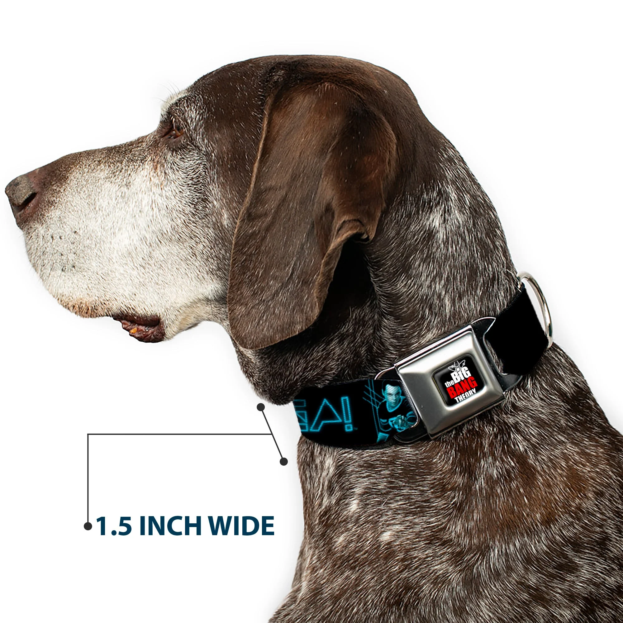 THE BIG BANG THEORY Full Color Black White Red Seatbelt Buckle Collar - Sheldon/BAZINGA! Black/Blue Glow - Image 7
