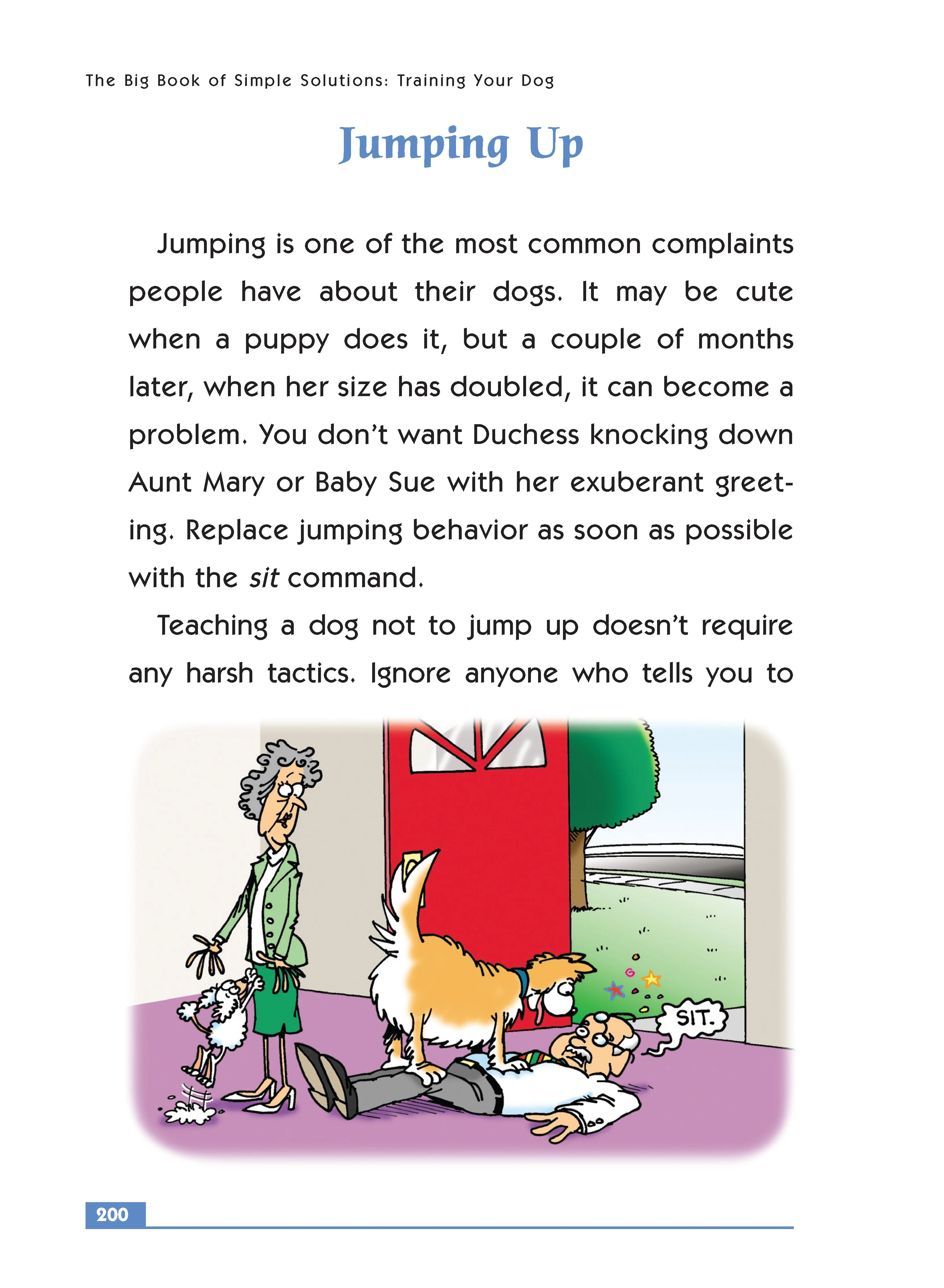 The Big Book of Simple Solutions - Image 6
