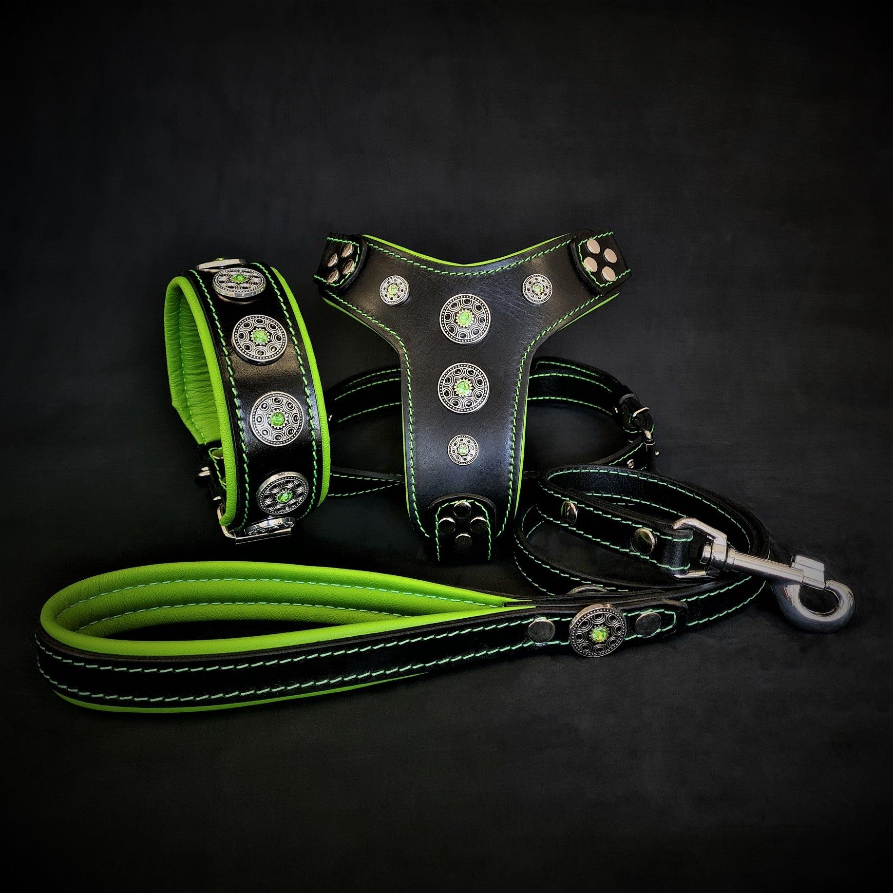 Bestia Dog Gear Genuine Leather Dog Collar - Green