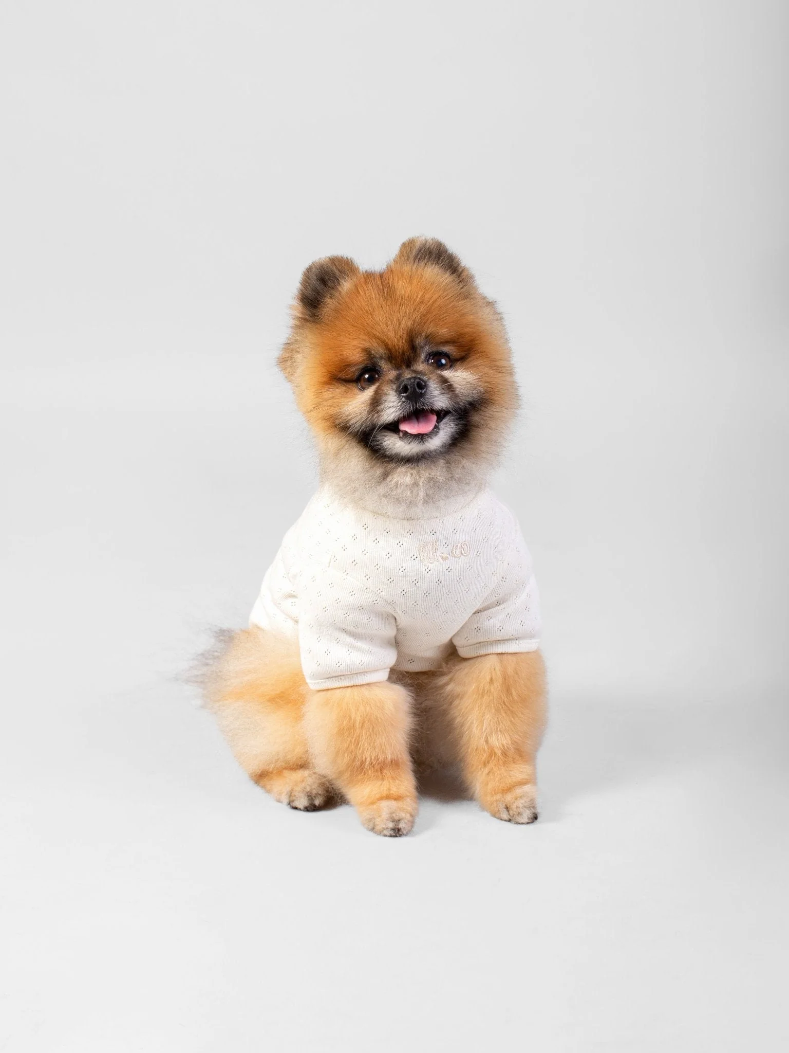 The Chic Shirt - Image 8