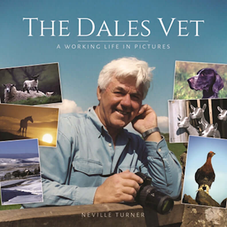 The Dales Vet - Image 7