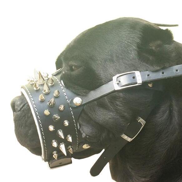 Bestia Dog Gear Genuine Leather Muzzles - Black - Image 3