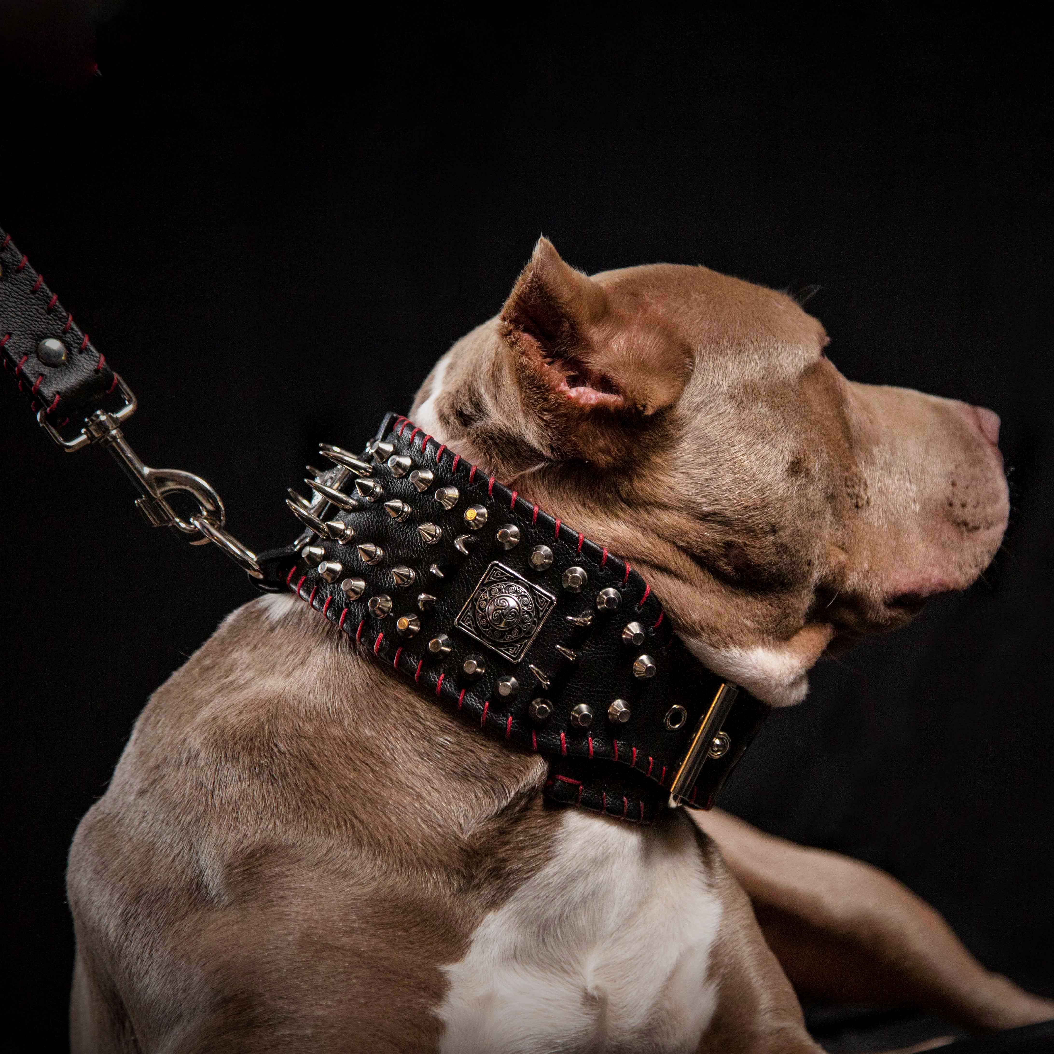 Bestia Dog Gear Genuine Leather Dog Collar - Red - Image 2