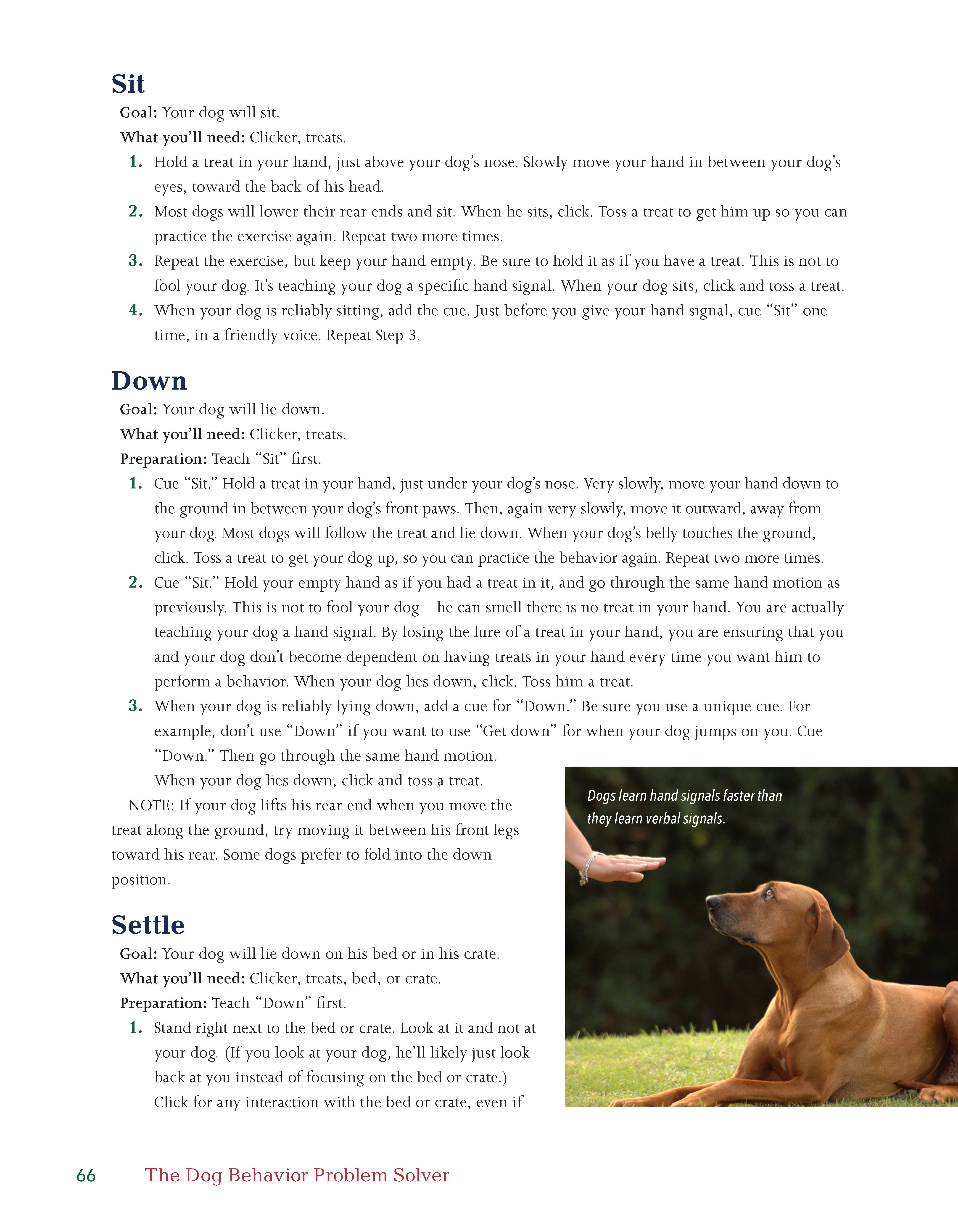 The Dog Behavior Problem Solver - Image 5