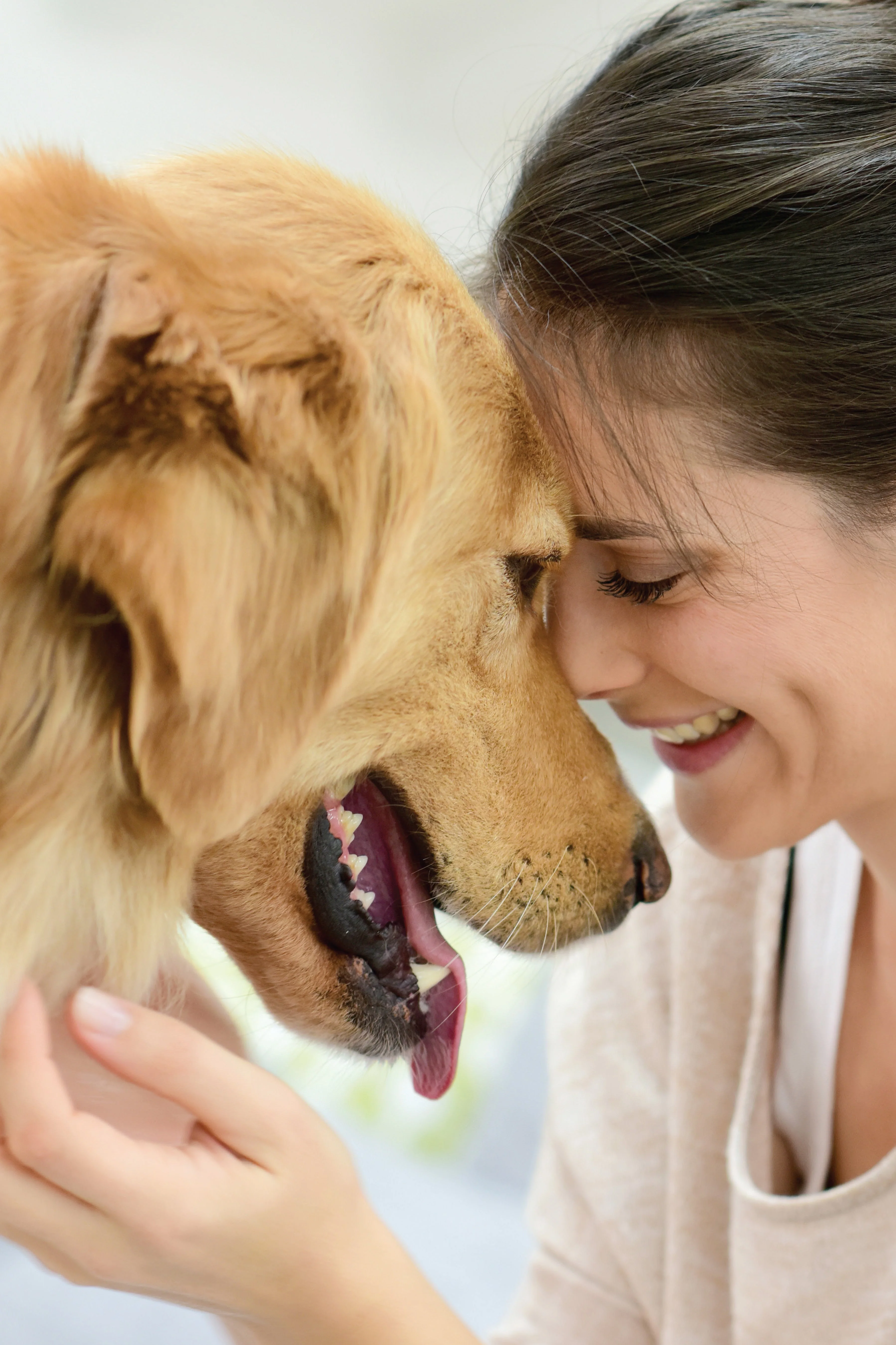 The Dog's Guide to Your Happiness - Image 2