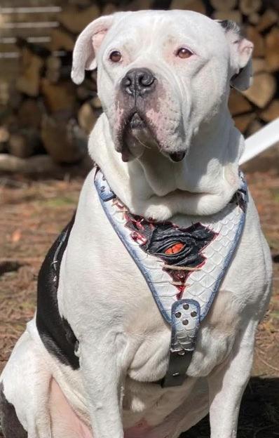 Bestia Dog Gear Genuine Leather Dog Harness - XXL - Image 3