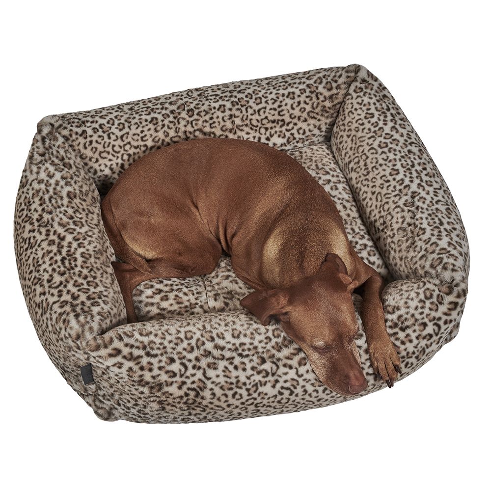 The Franklin-Leopard - Image 3