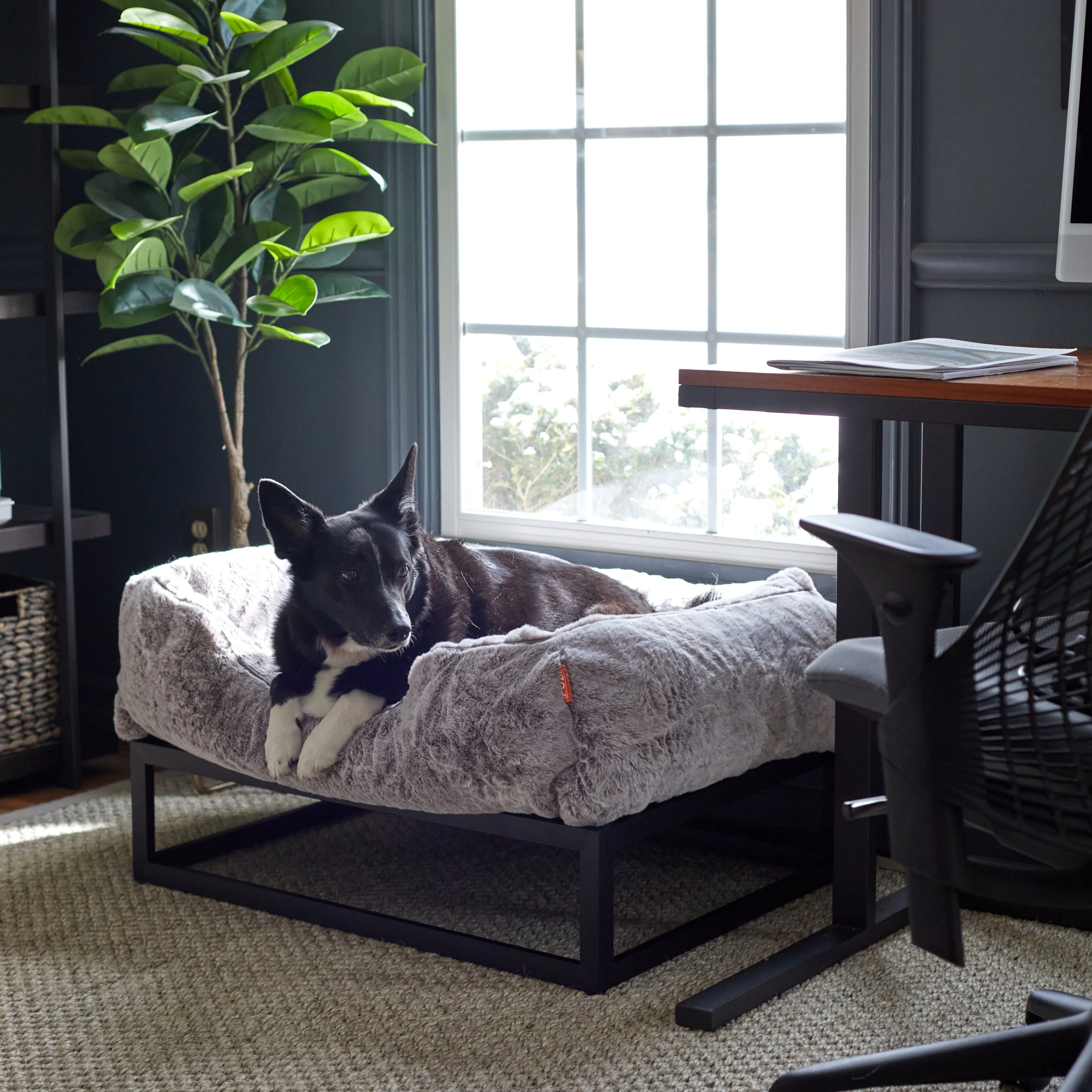 The FÜZI Dog Bed - Image 2