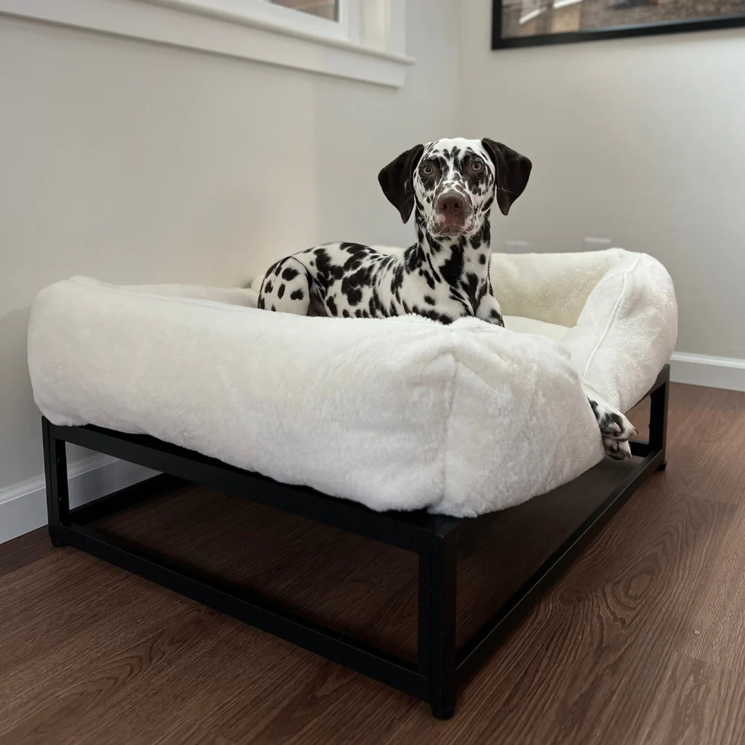 The FÜZI Dog Bed - Image 4